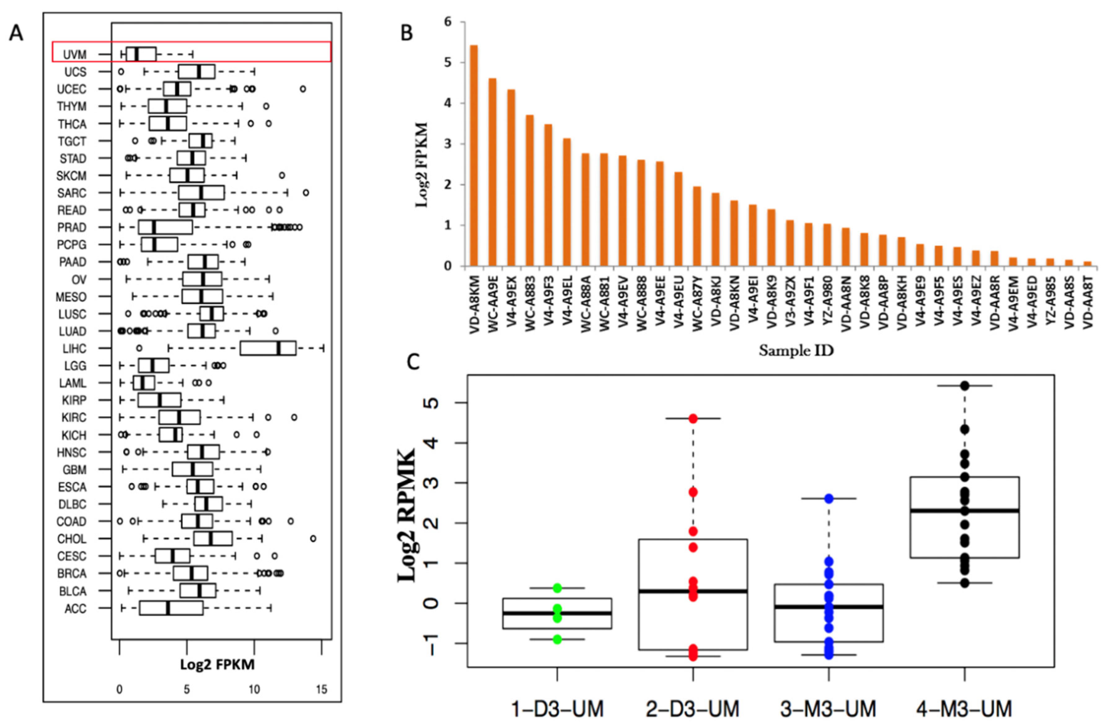 Cancers 12 00405 g006