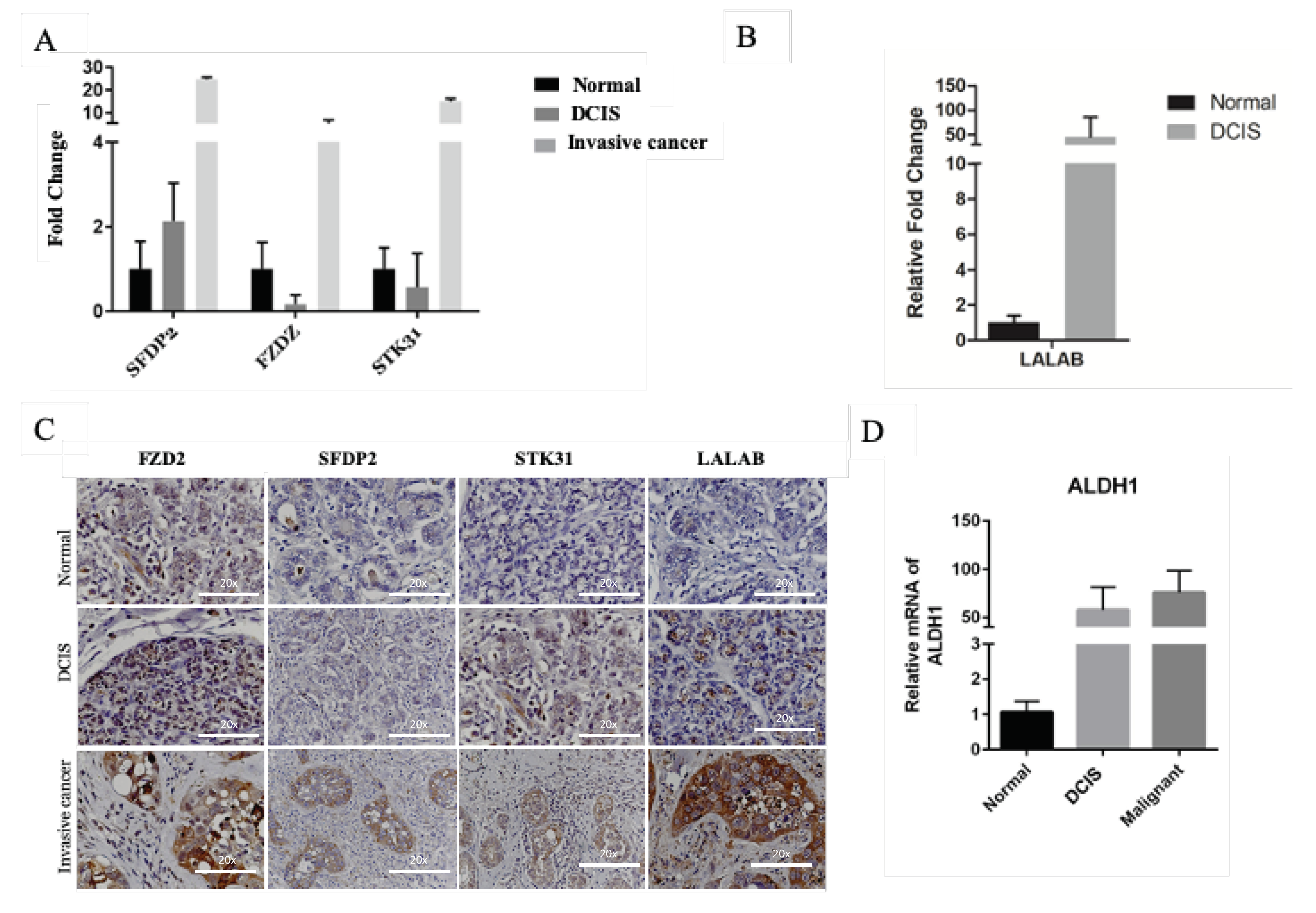 Cancers 12 00418 g002 Cancers 12 00418 g002