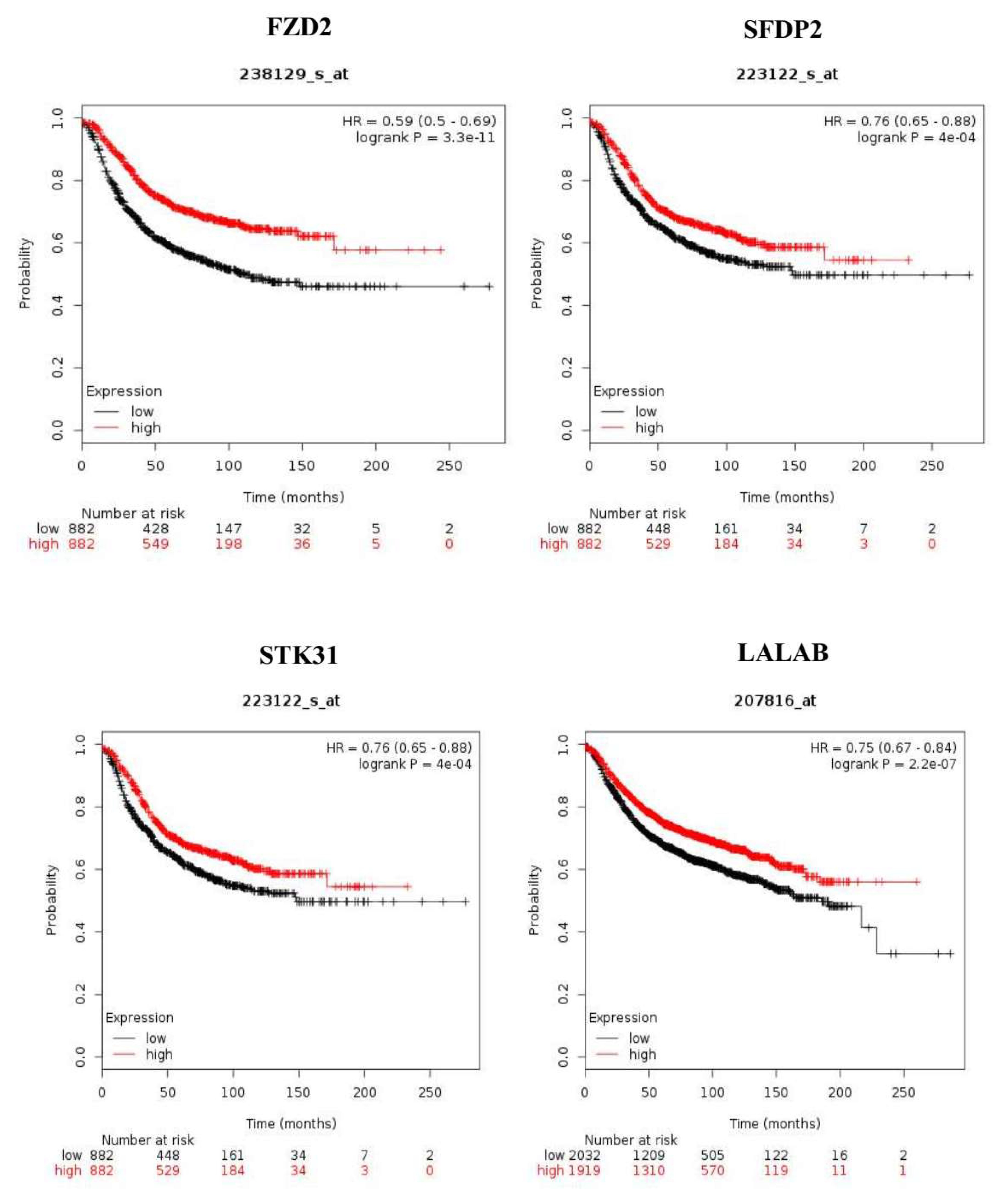 Cancers 12 00418 g004 Cancers 12 00418 g004