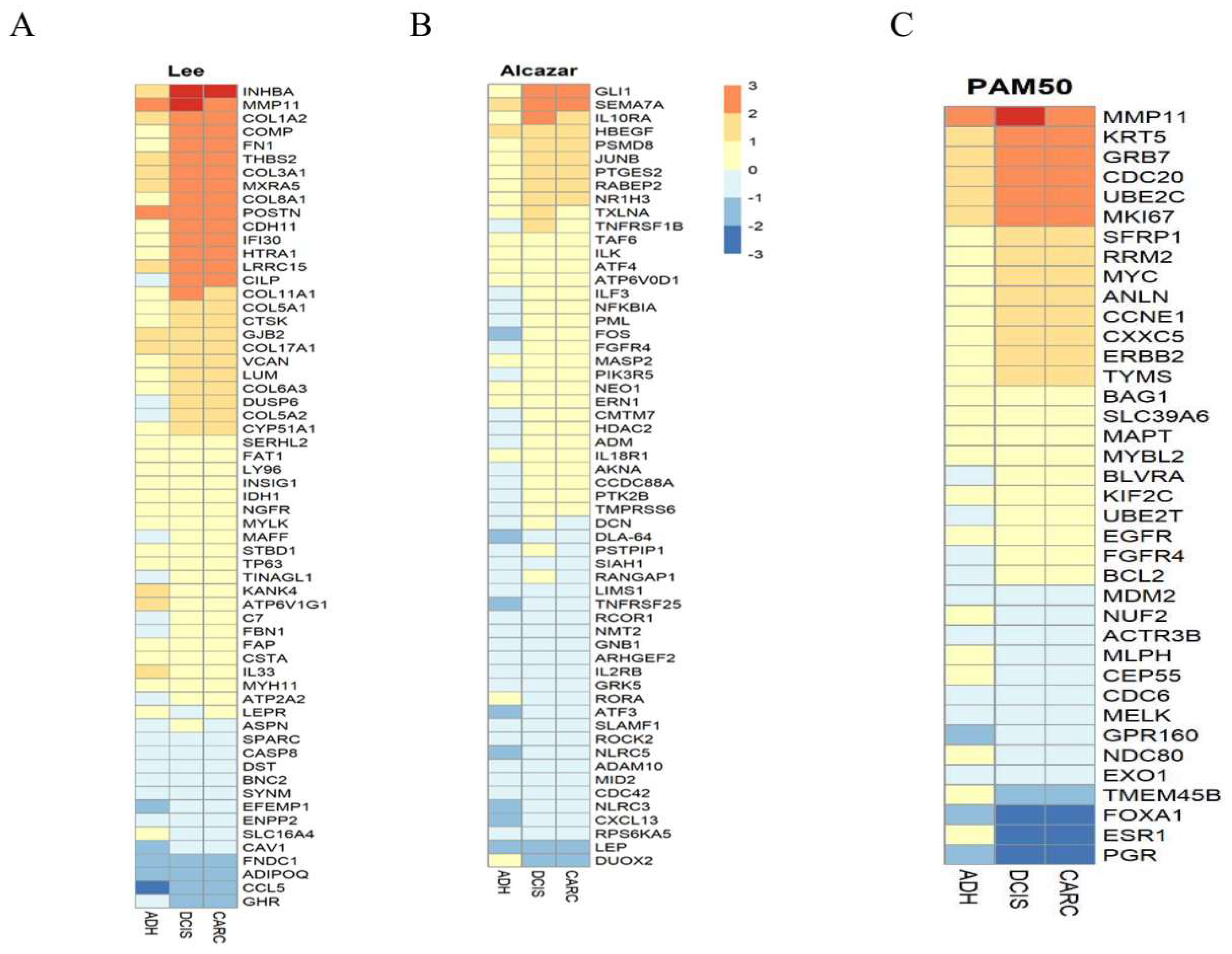 Cancers 12 00418 g005 Cancers 12 00418 g005