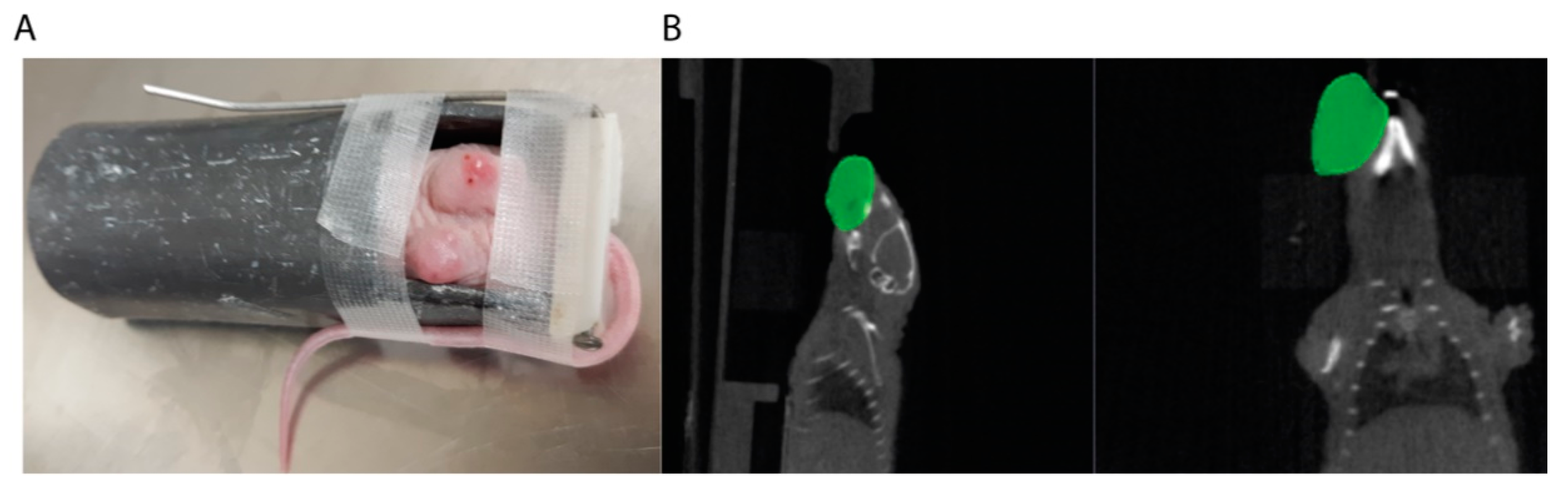 Cancers 12 00419 g003 Cancers 12 00419 g003