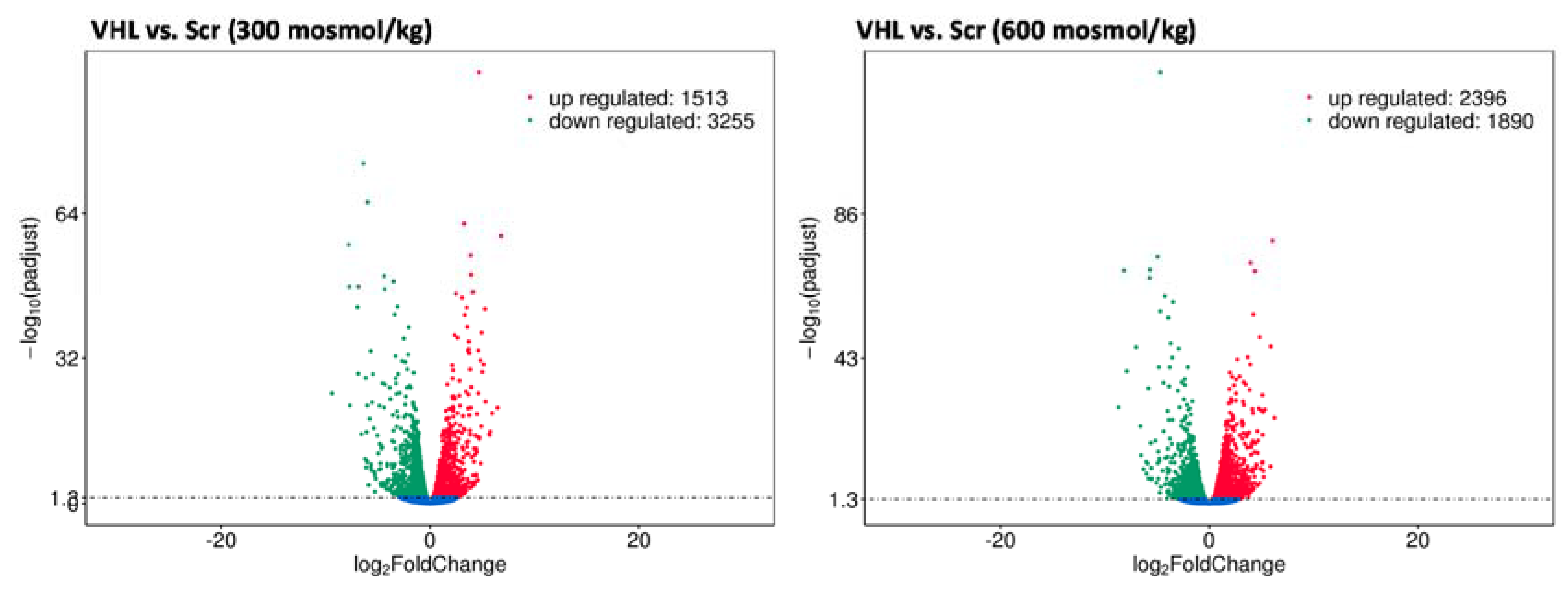 Cancers 12 00420 g005 Cancers 12 00420 g005