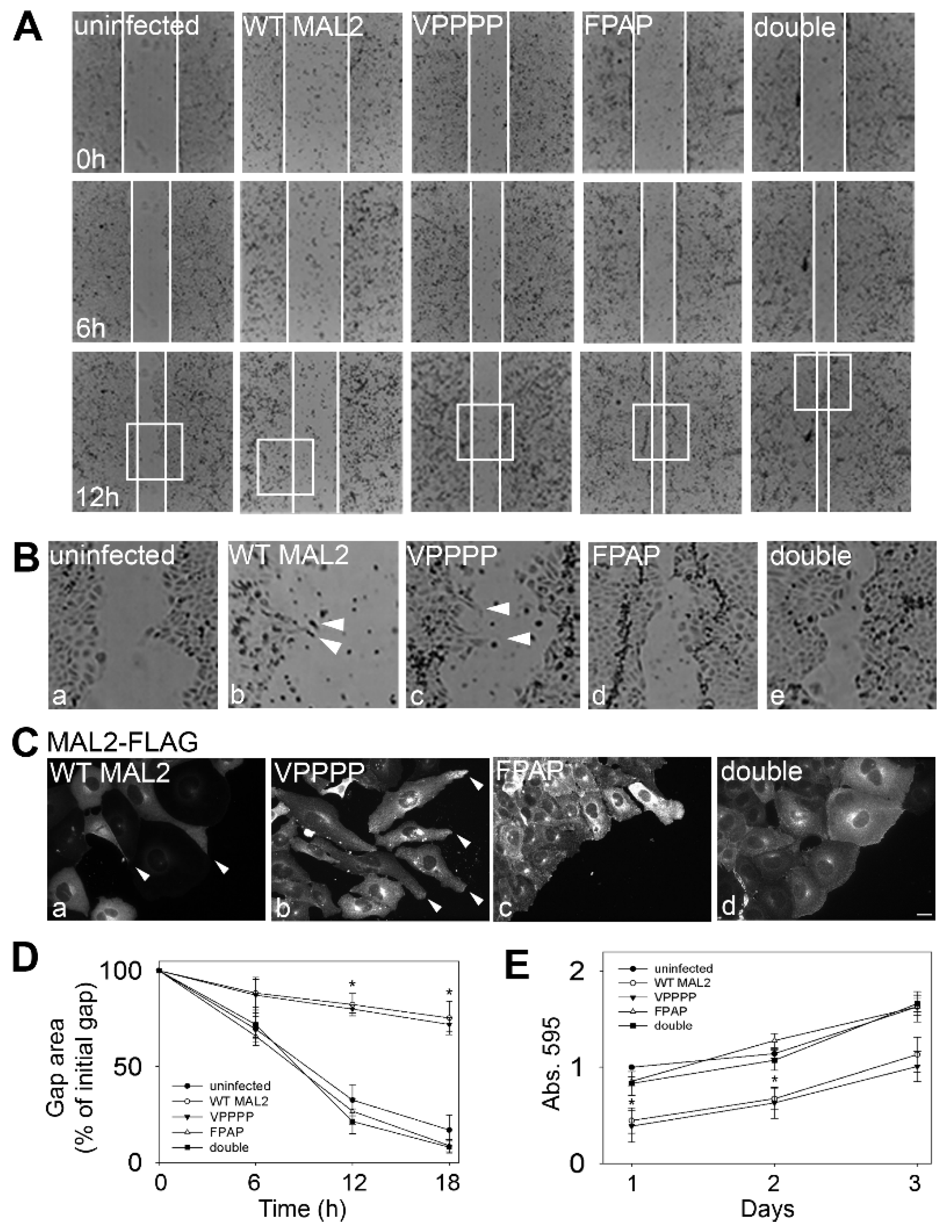 Cancers 12 00422 g009