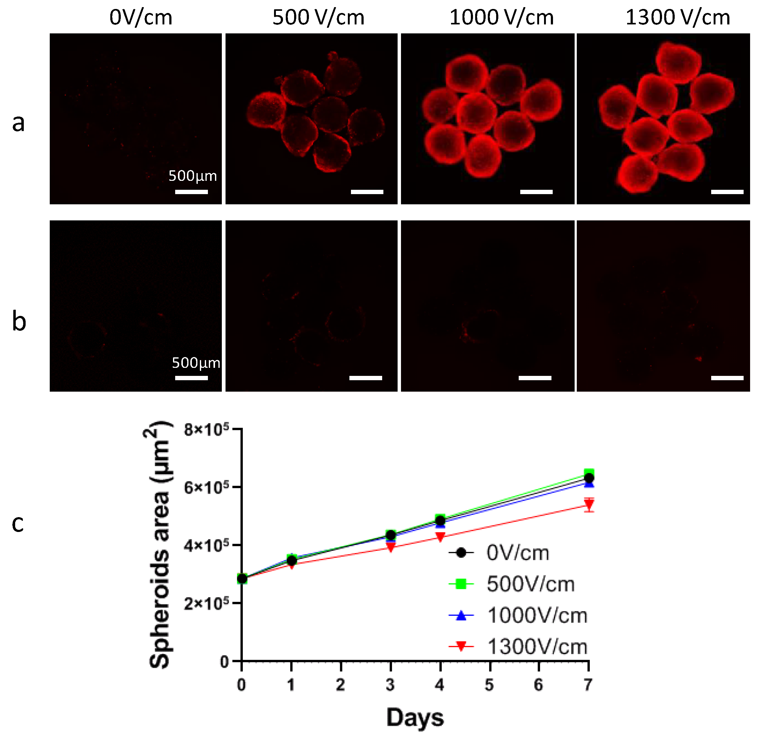 Cancers 12 00425 g0a1 Cancers 12 00425 g0a1