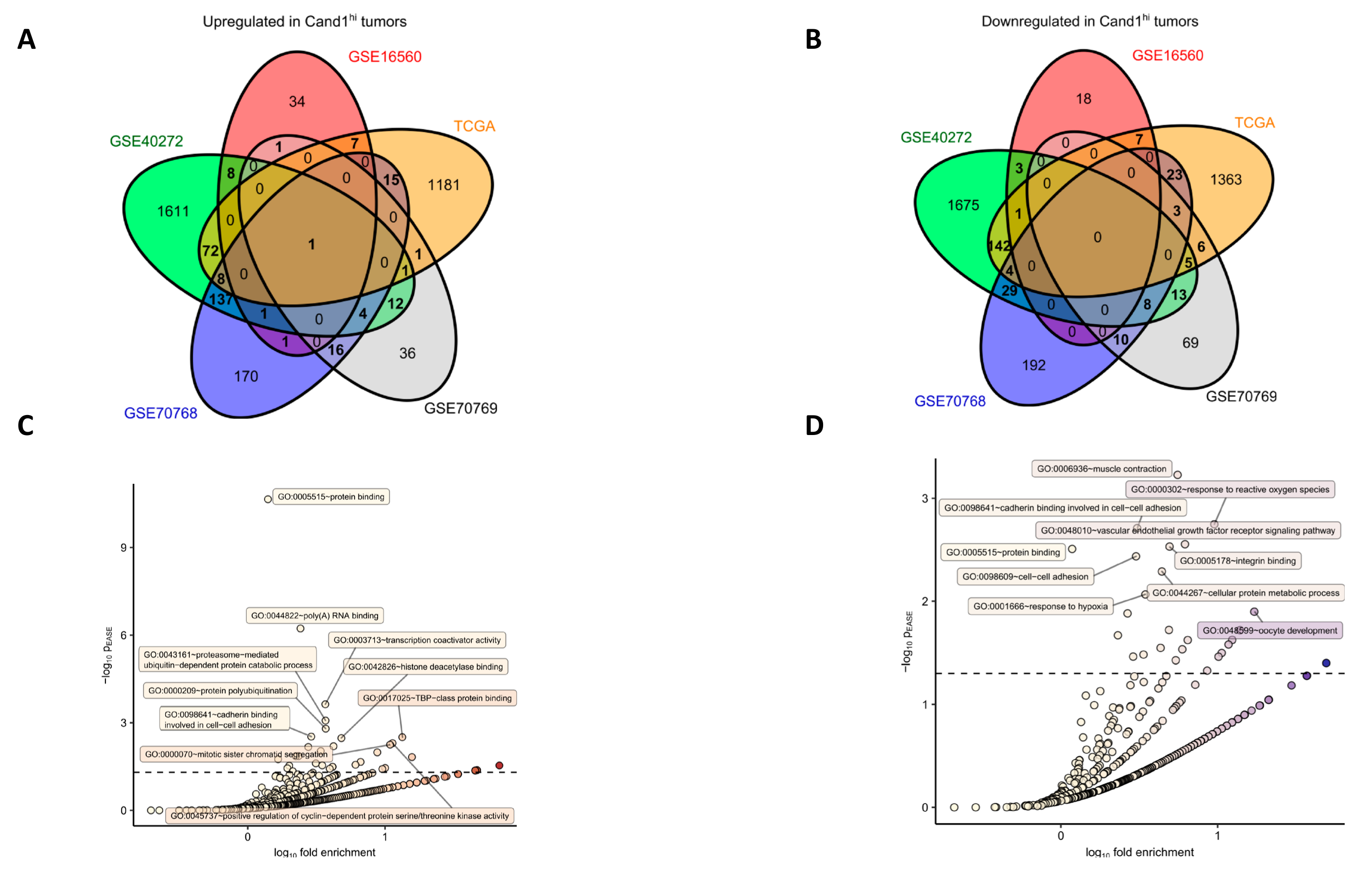 Cancers 12 00428 g004