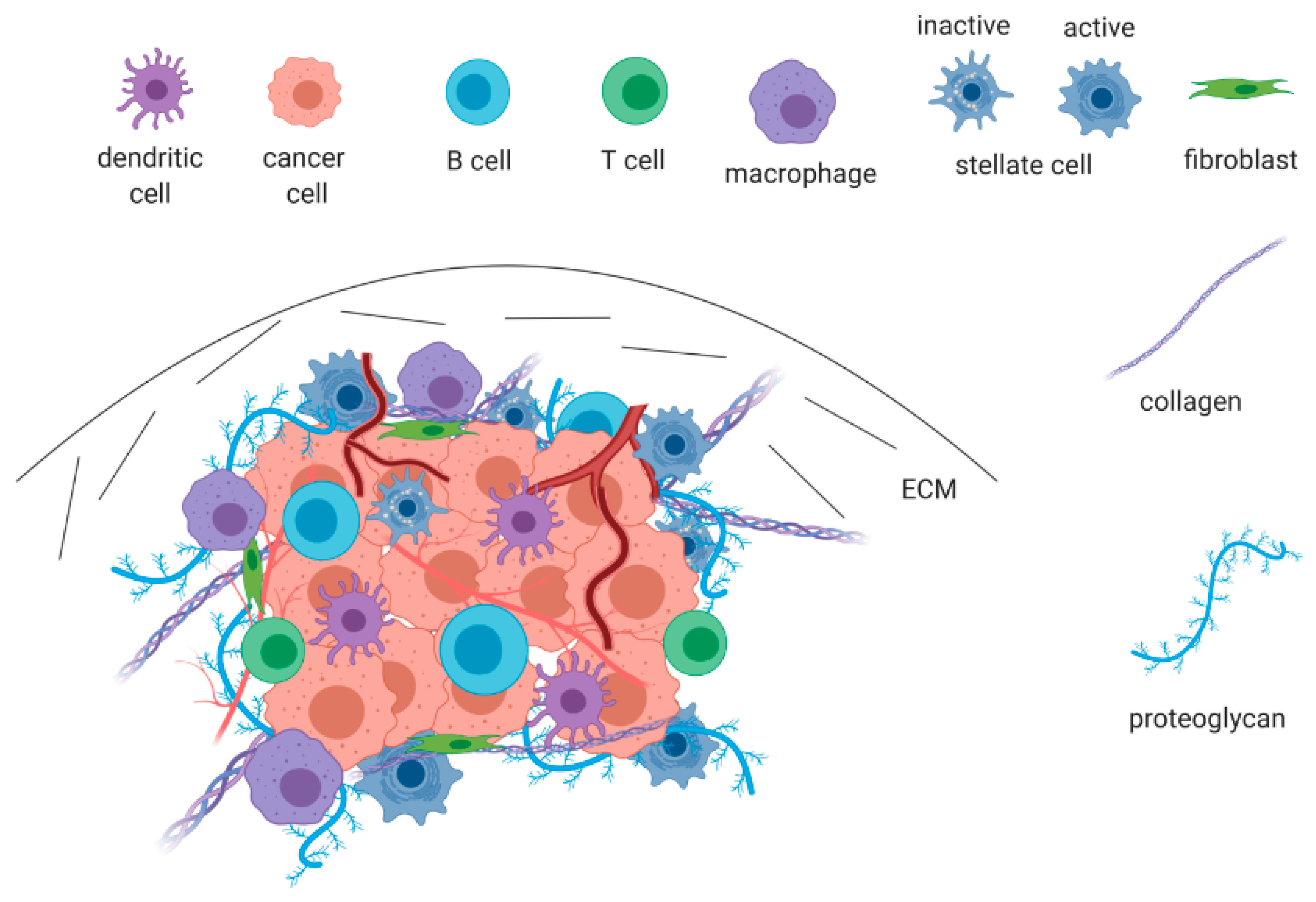 Cancers 12 00432 g001