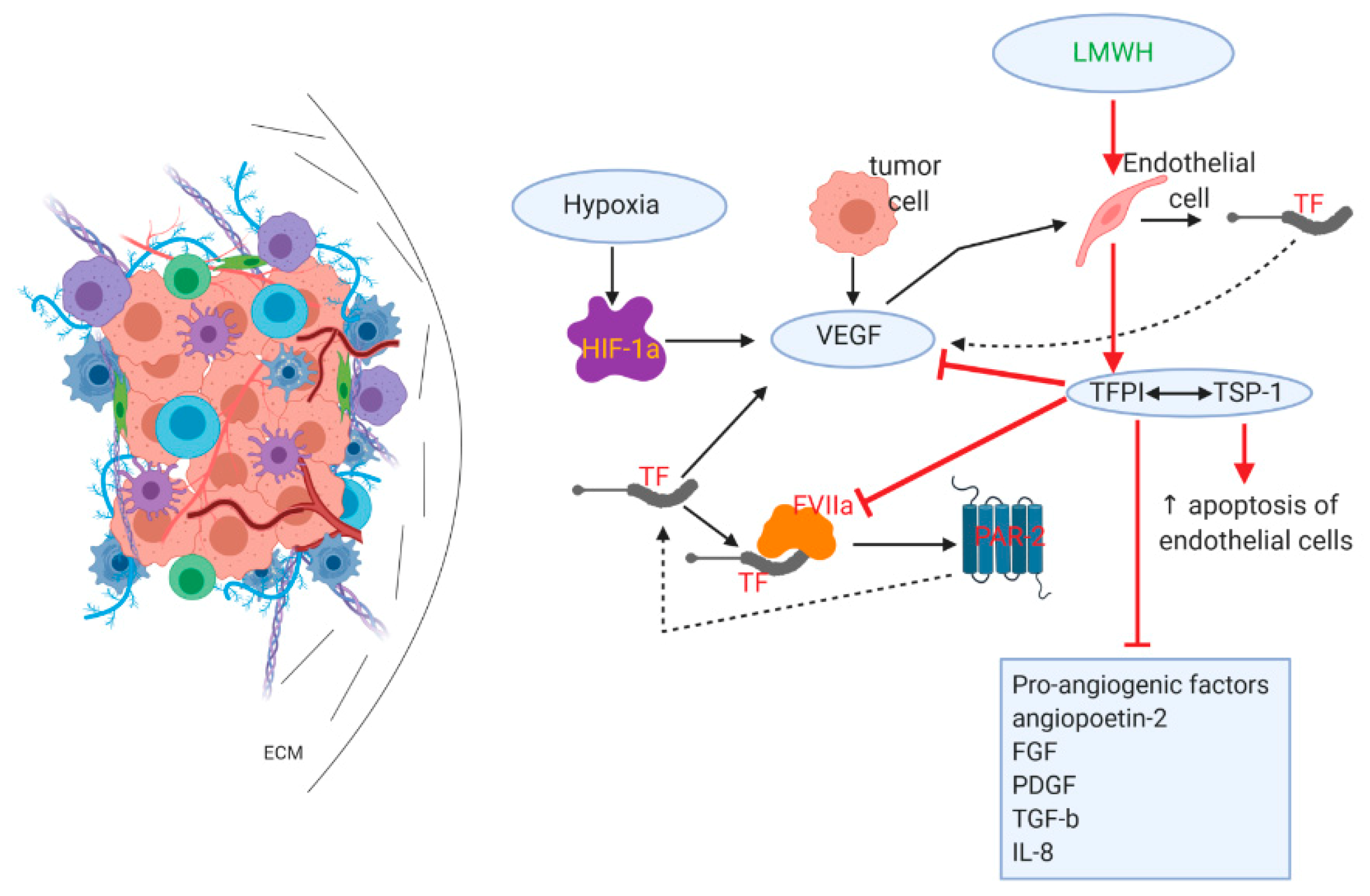 Cancers 12 00432 g004