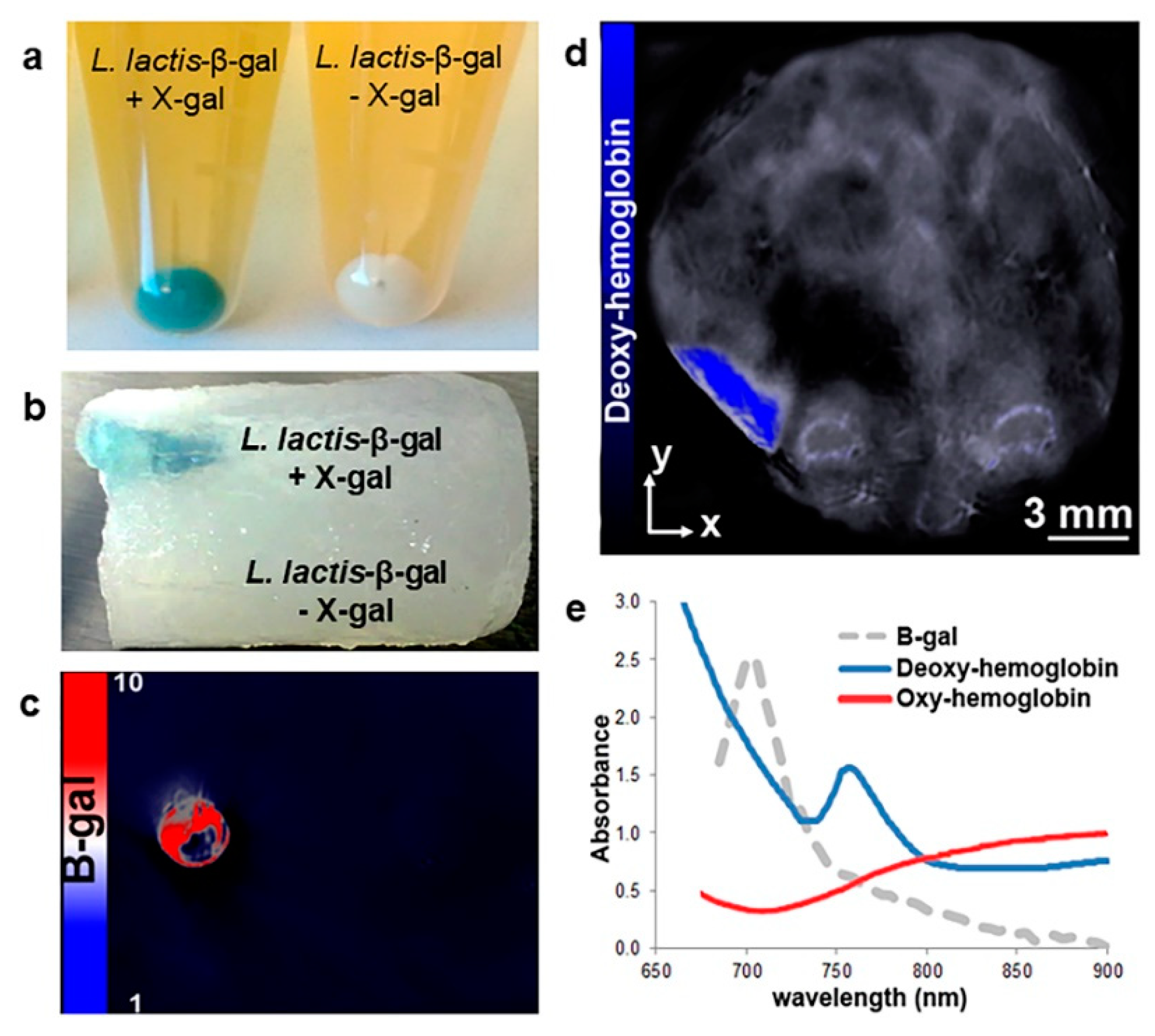 Cancers 12 00438 g005
