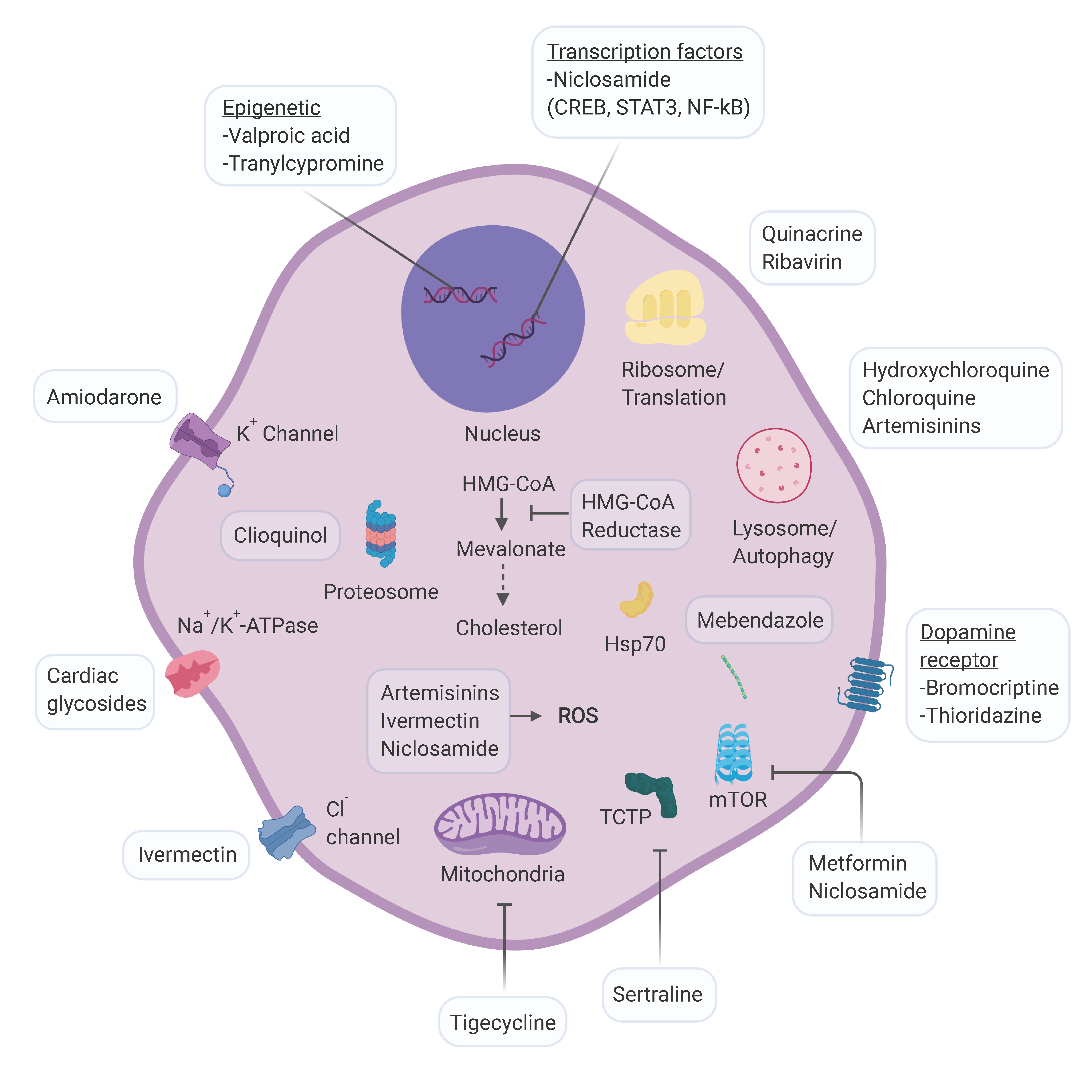 Cancers 12 00441 g001