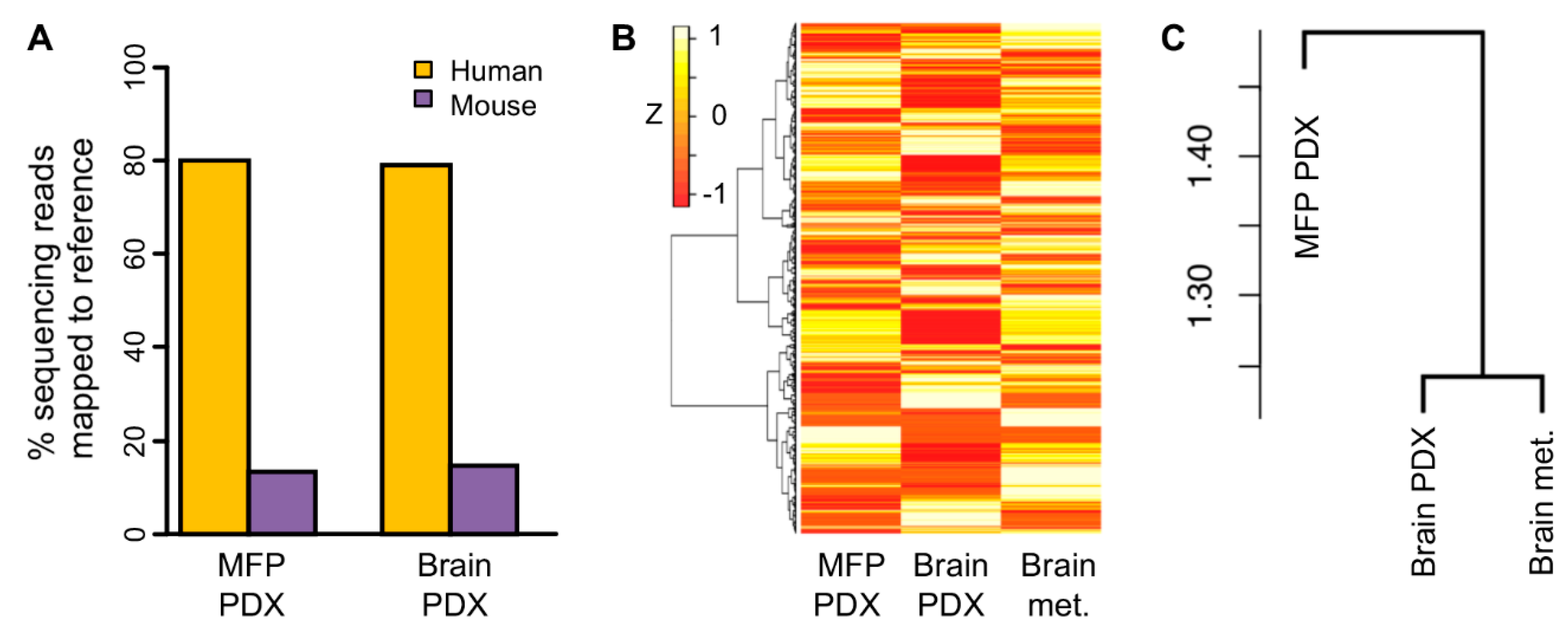 Cancers 12 00444 g005