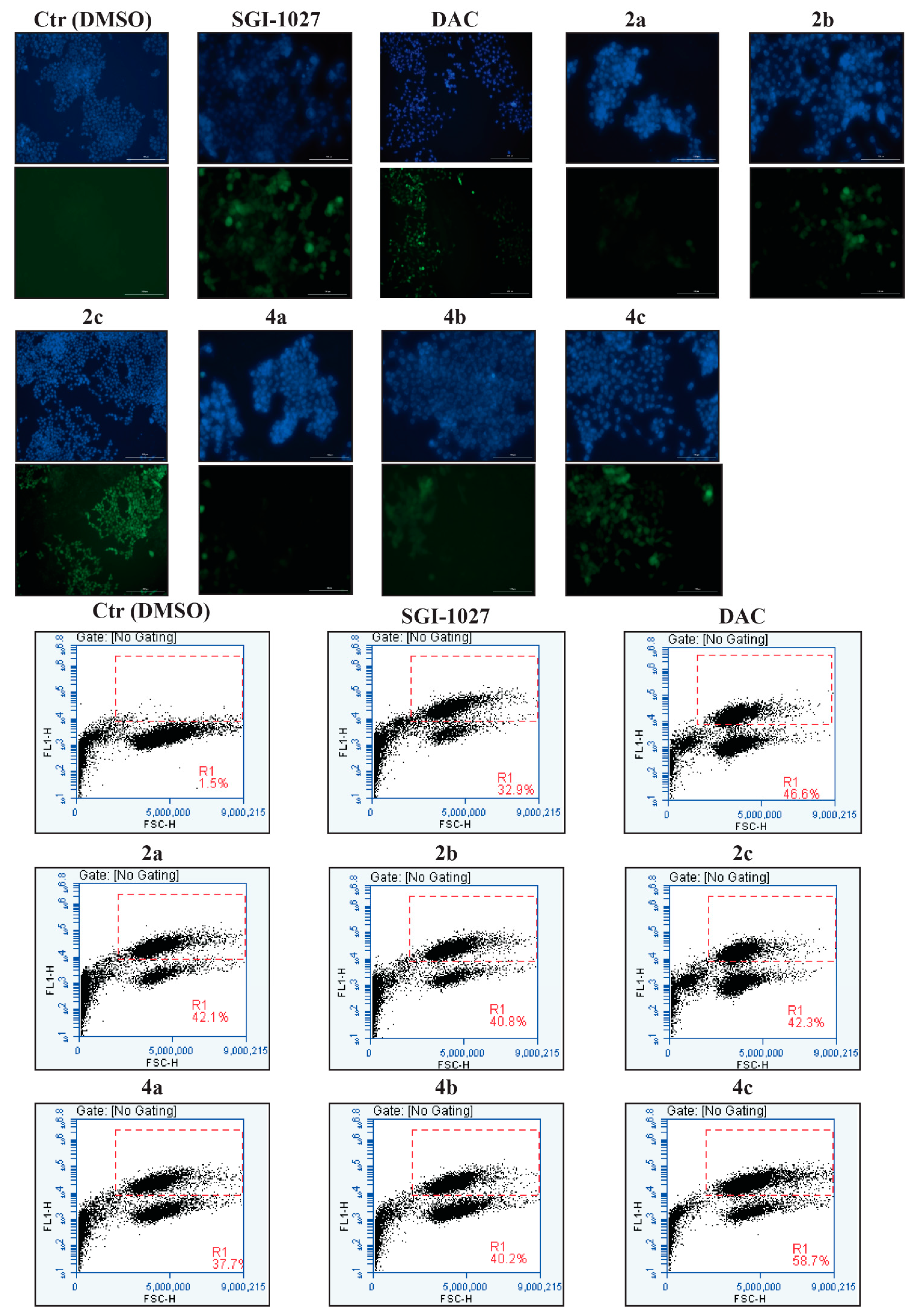 Cancers 12 00447 g007 Cancers 12 00447 g007