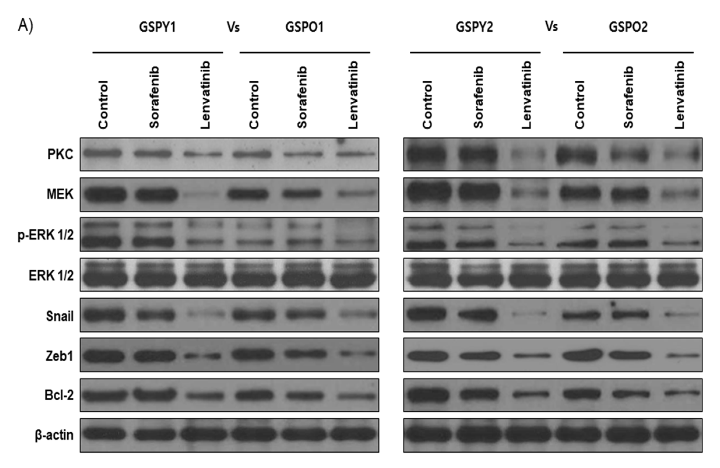 Cancers 12 00448 g005a