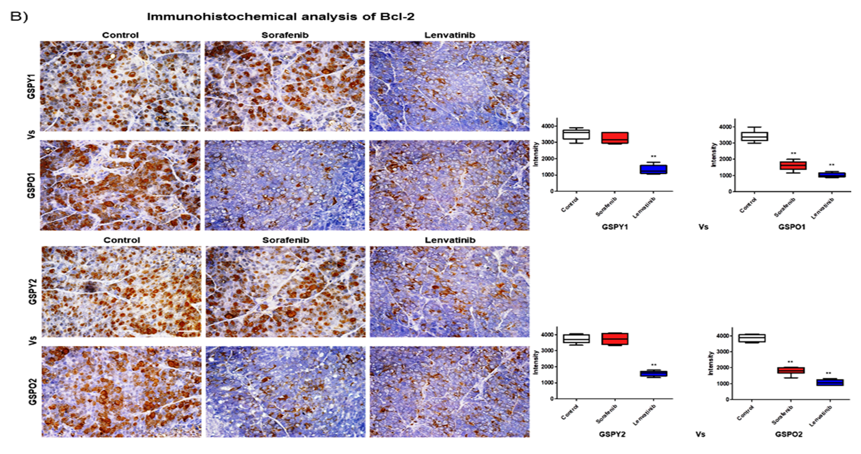 Cancers 12 00448 g005b