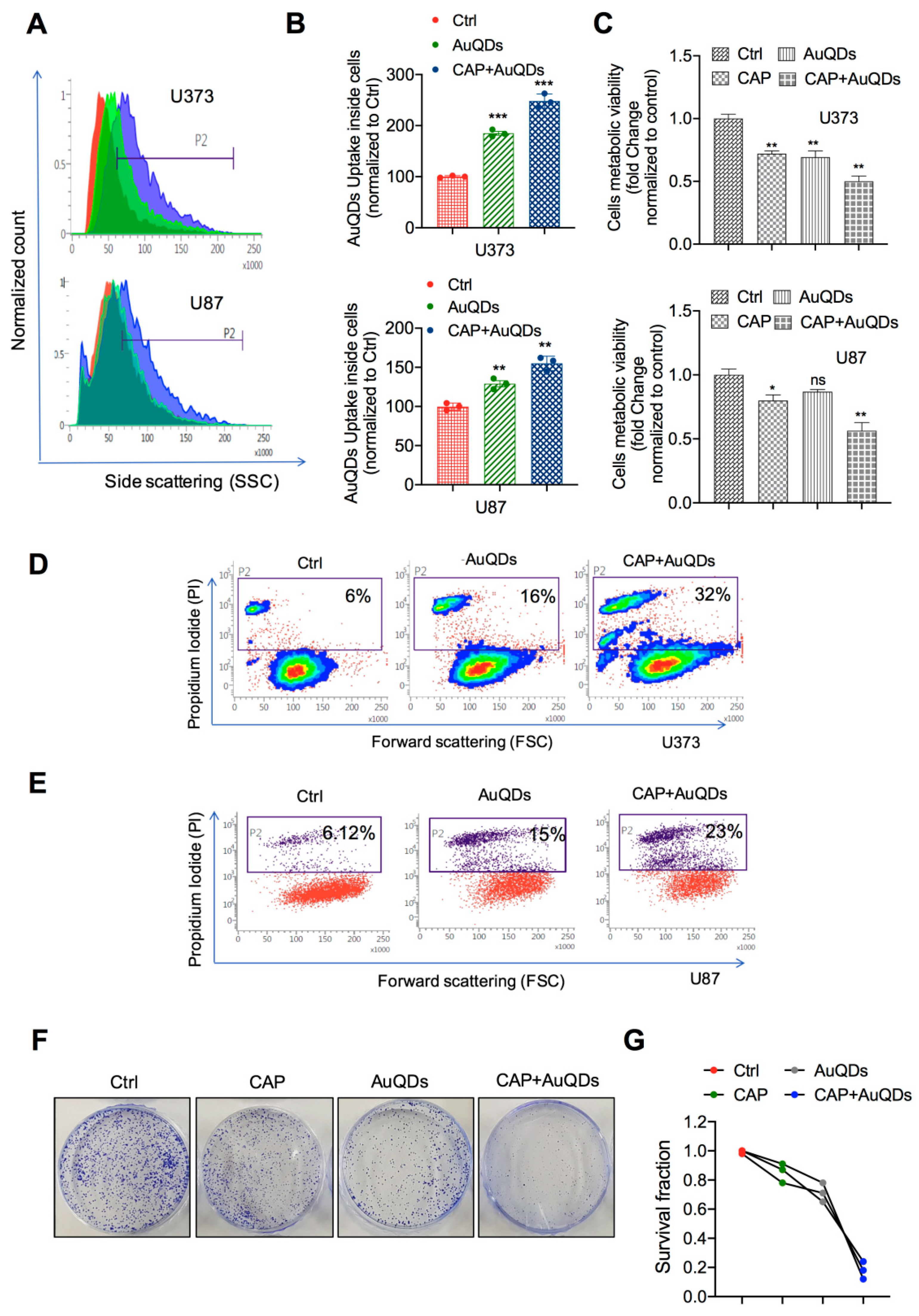 Cancers 12 00457 g002 Cancers 12 00457 g002