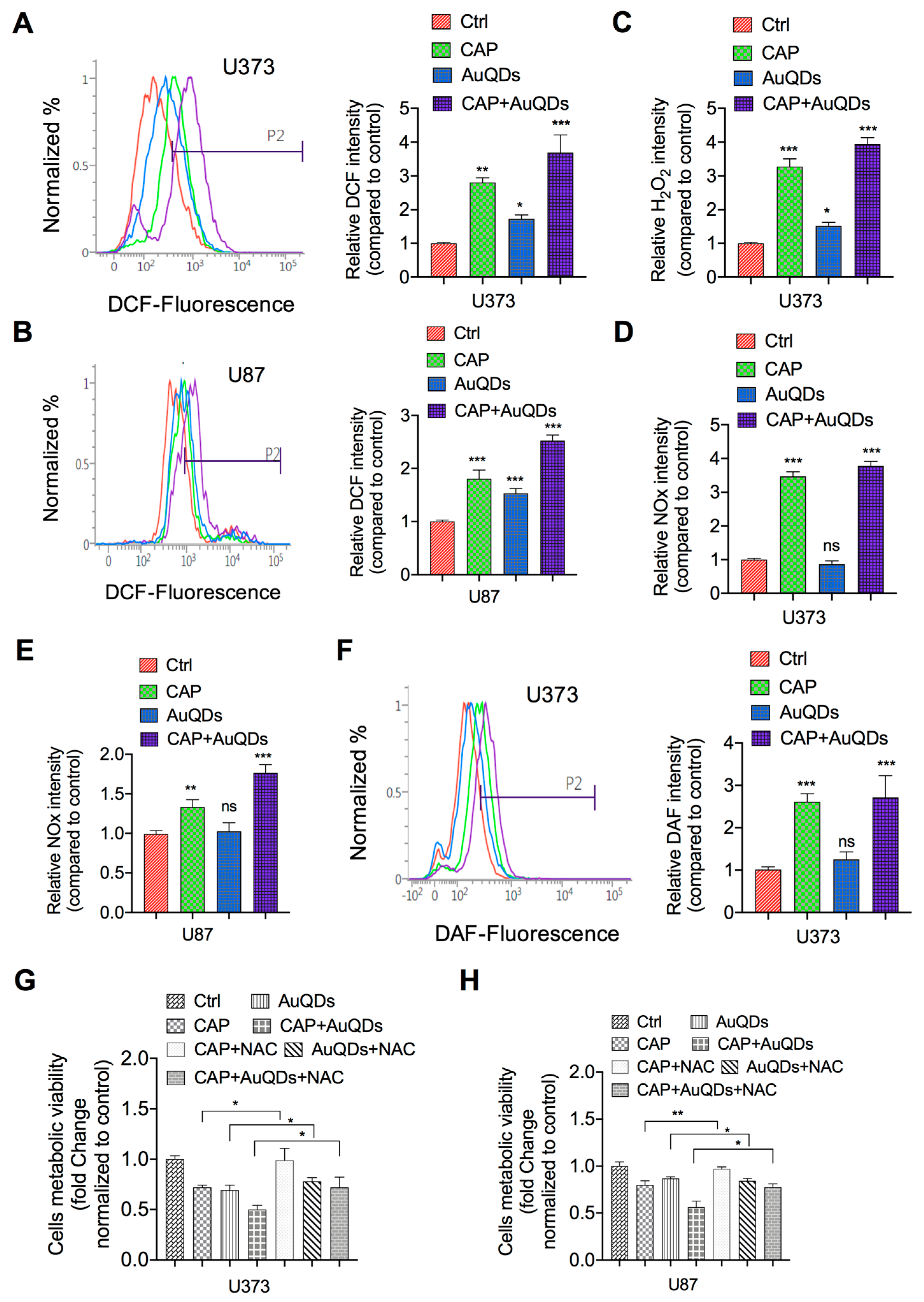 Cancers 12 00457 g003 Cancers 12 00457 g003
