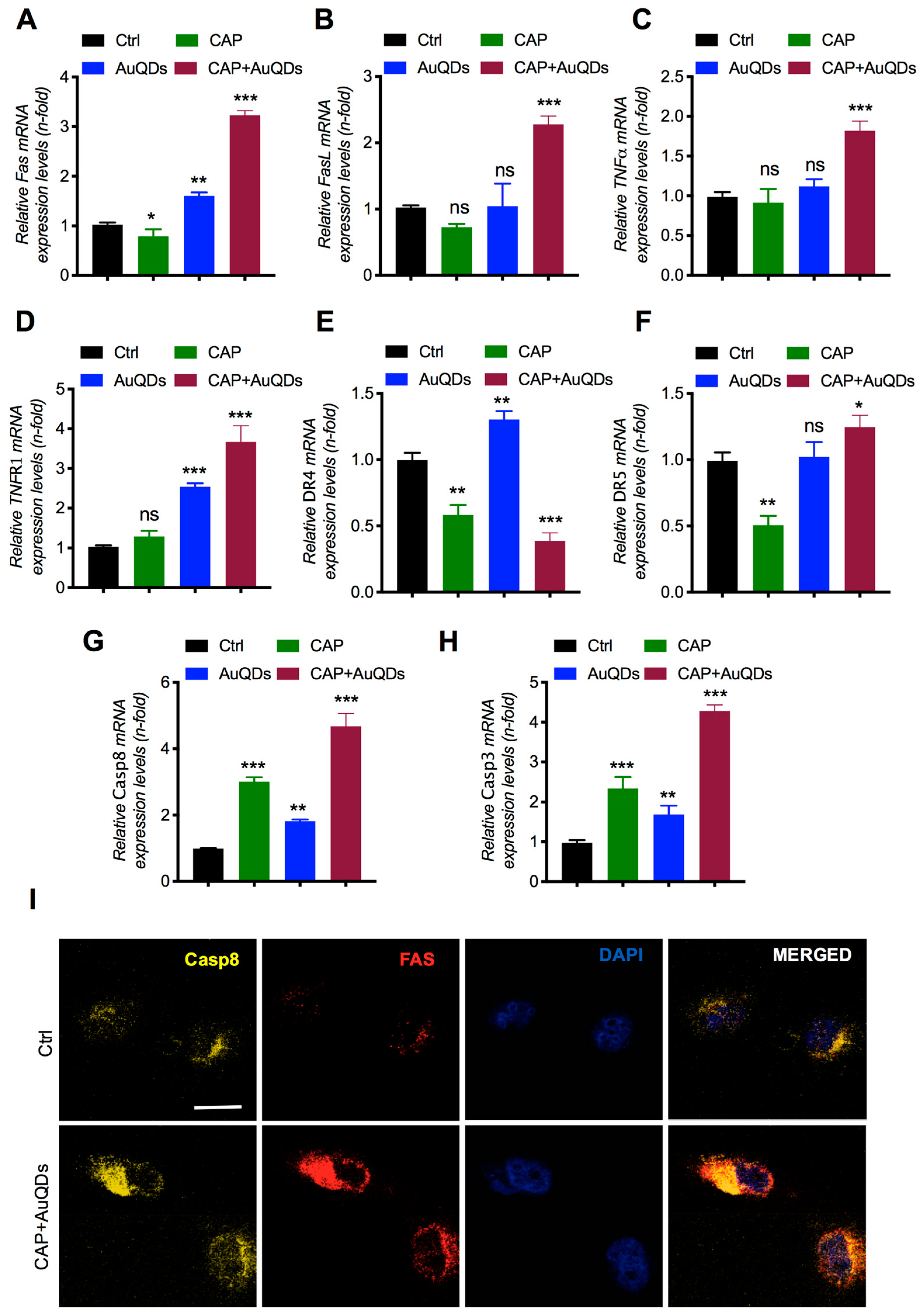 Cancers 12 00457 g005 Cancers 12 00457 g005