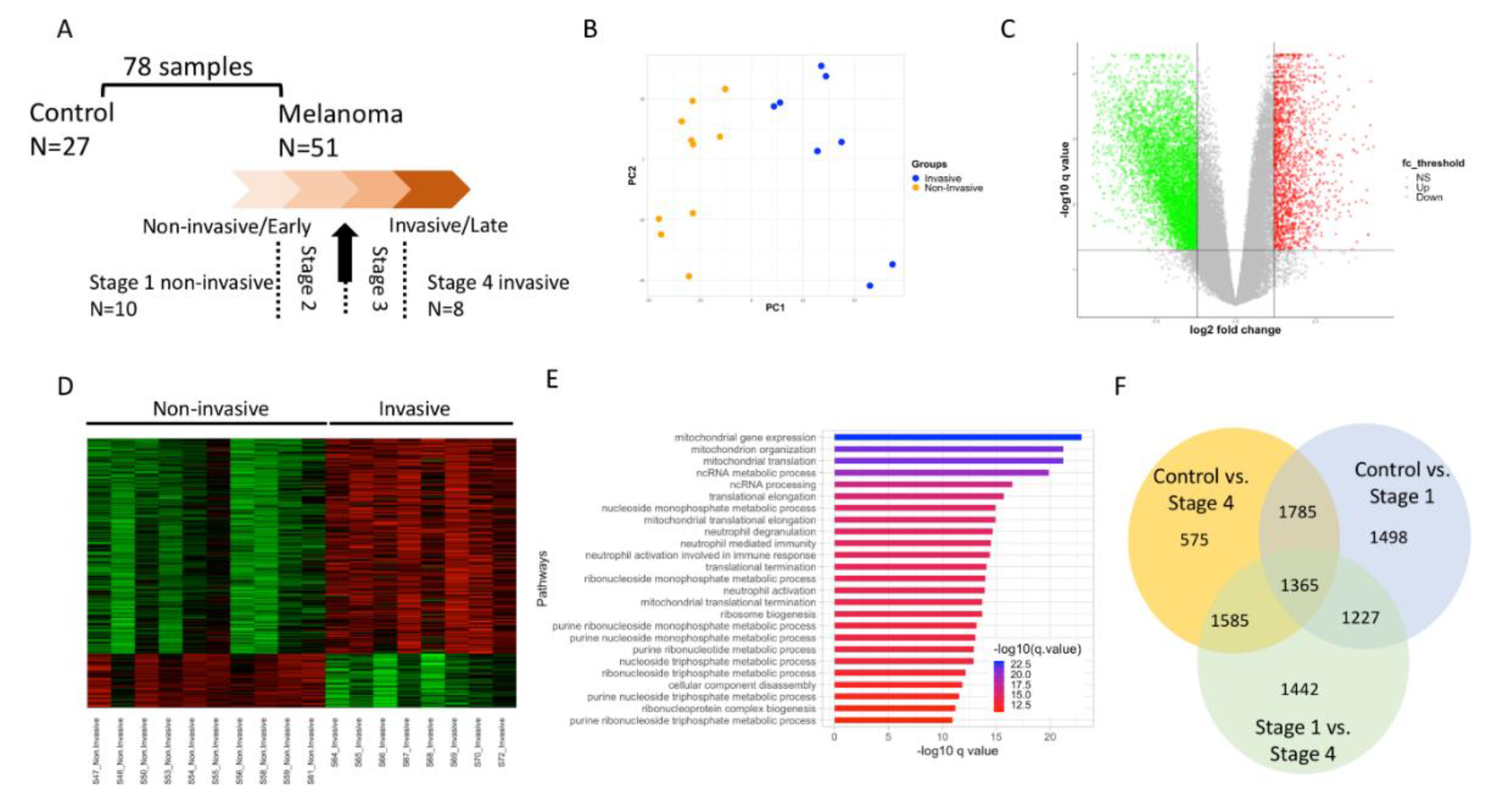 Cancers 12 00458 g001 Cancers 12 00458 g001