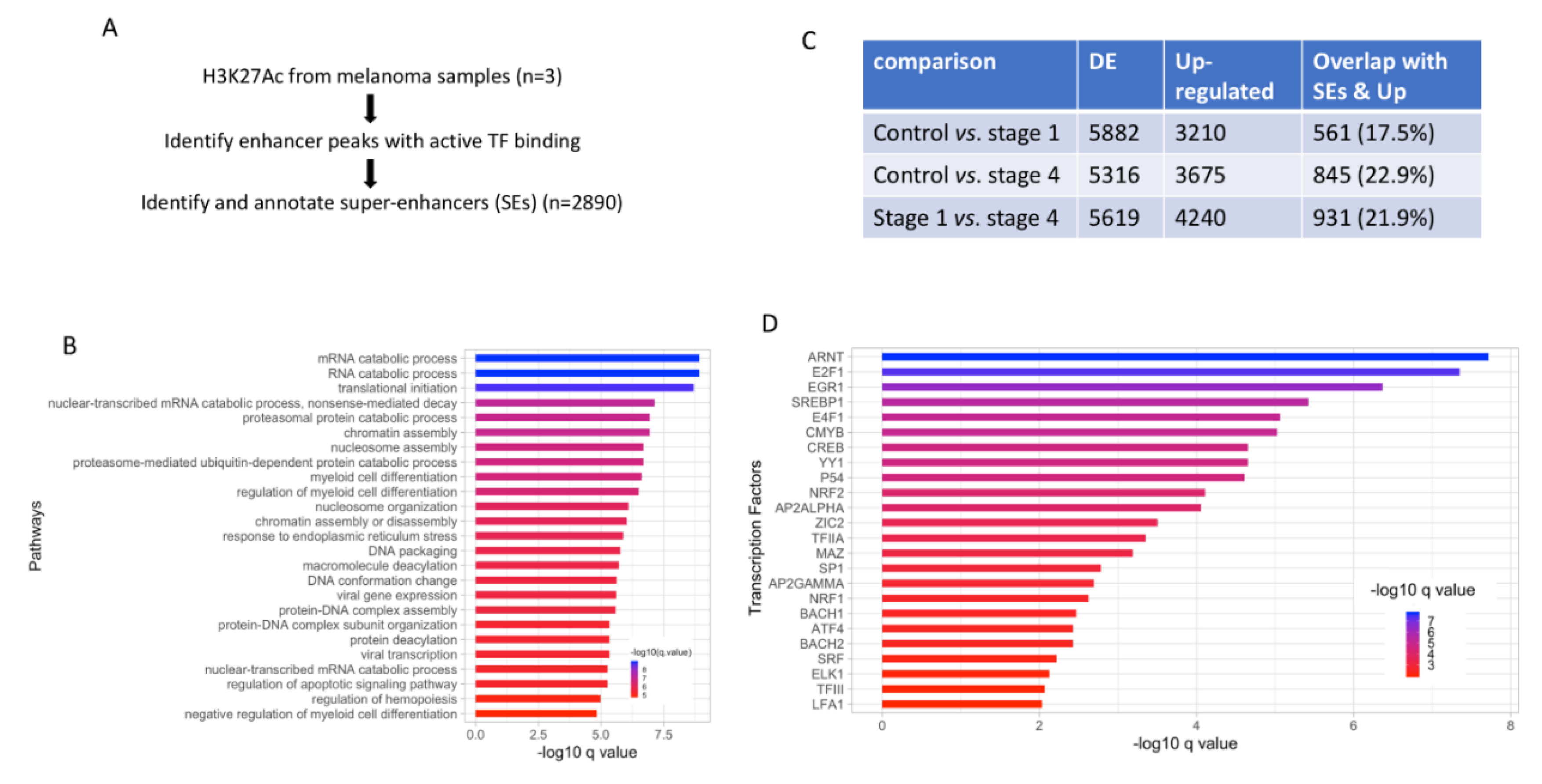 Cancers 12 00458 g002 Cancers 12 00458 g002