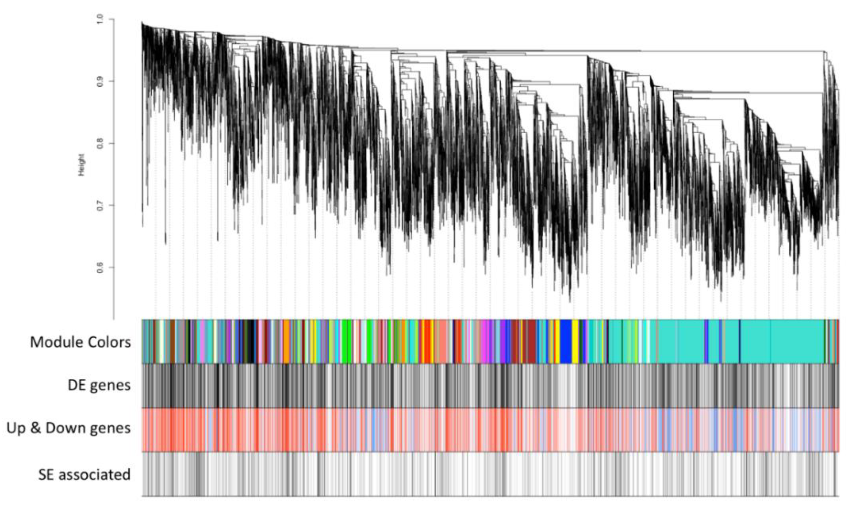 Cancers 12 00458 g003 Cancers 12 00458 g003