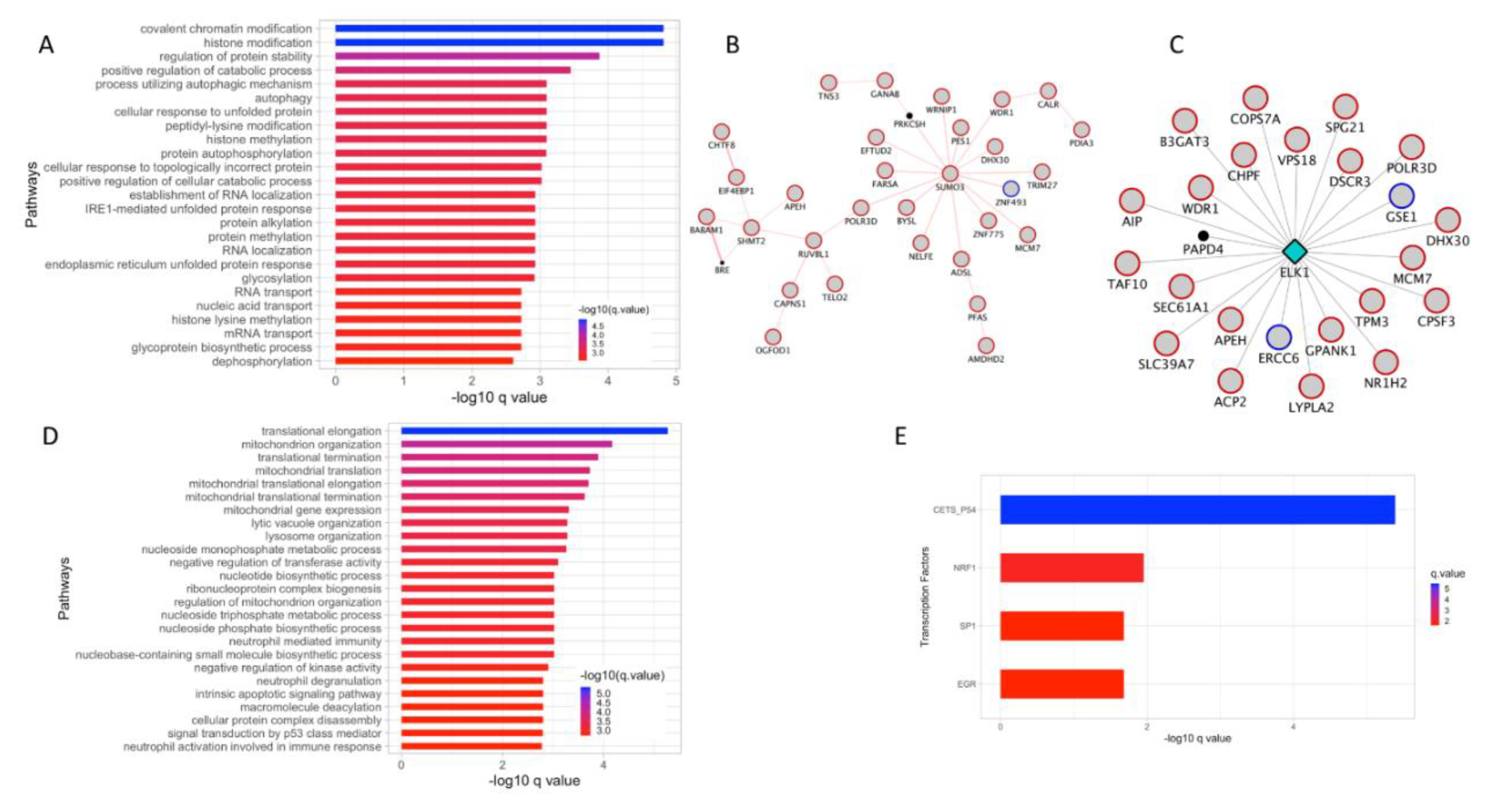 Cancers 12 00458 g004 Cancers 12 00458 g004