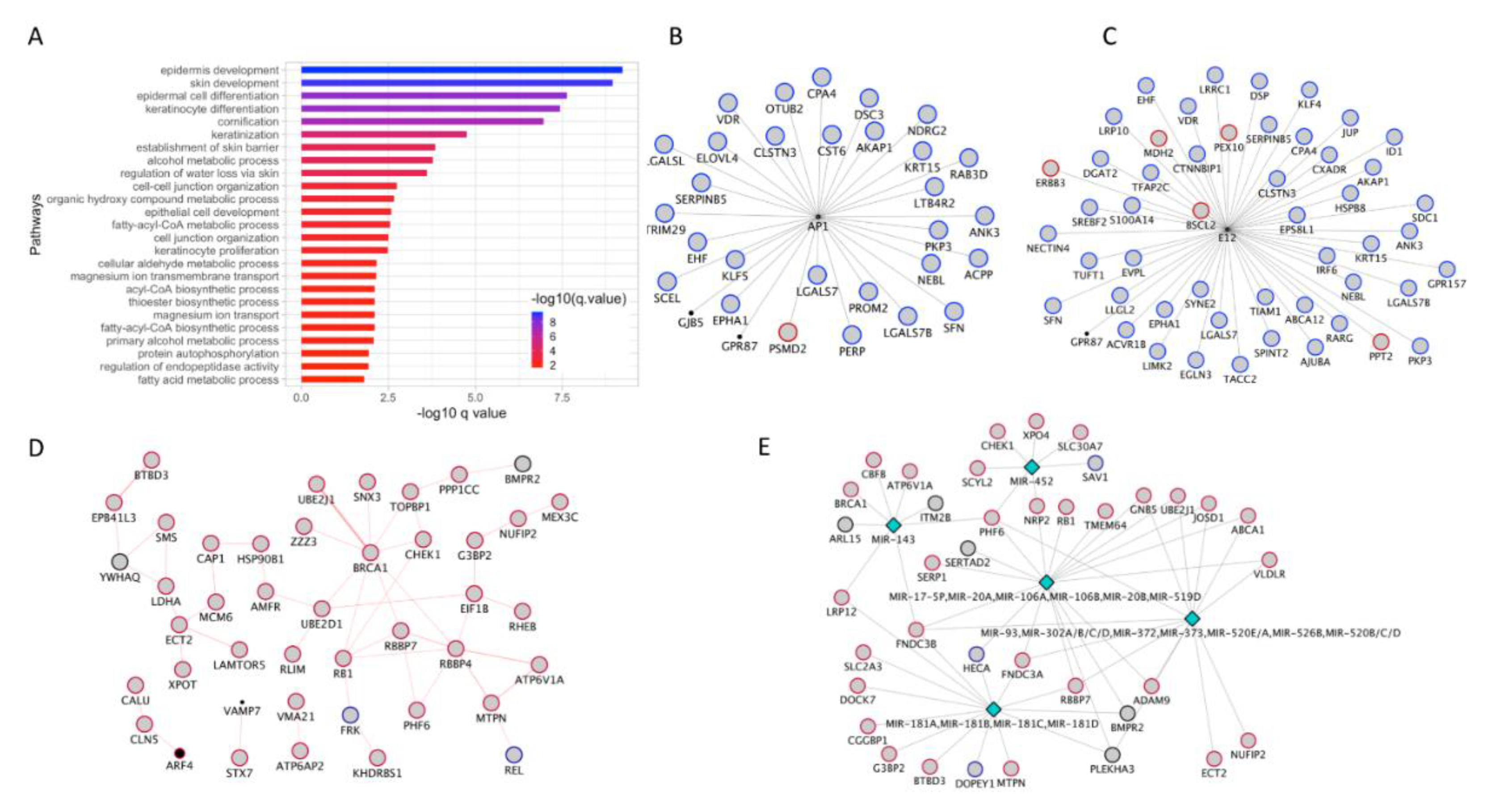 Cancers 12 00458 g006 Cancers 12 00458 g006