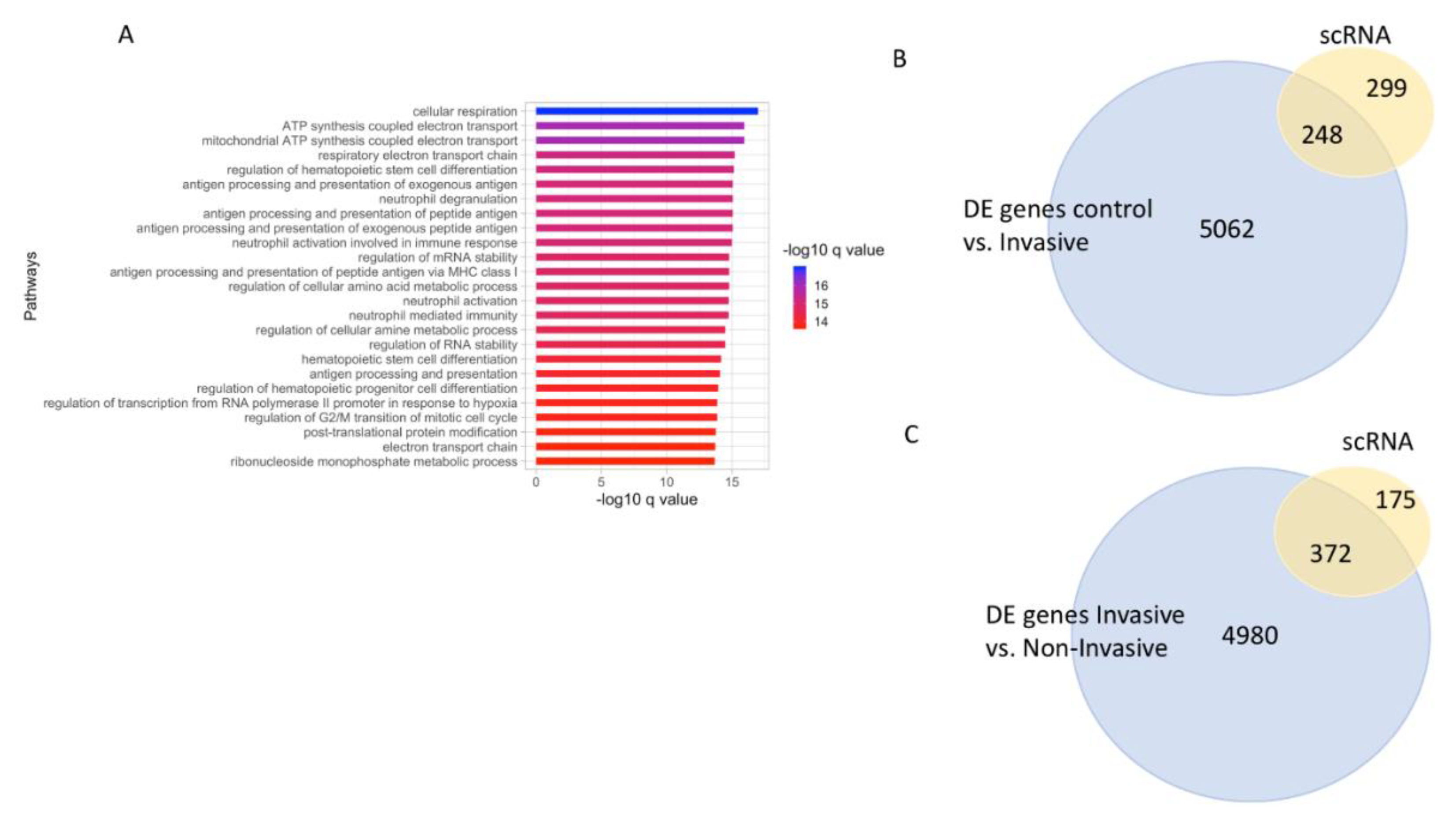 Cancers 12 00458 g007 Cancers 12 00458 g007
