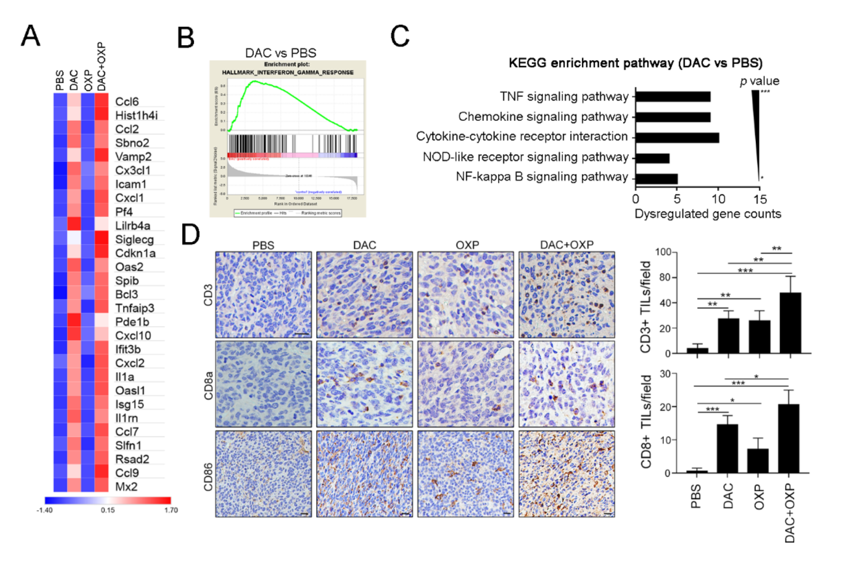 Cancers 12 00462 g005