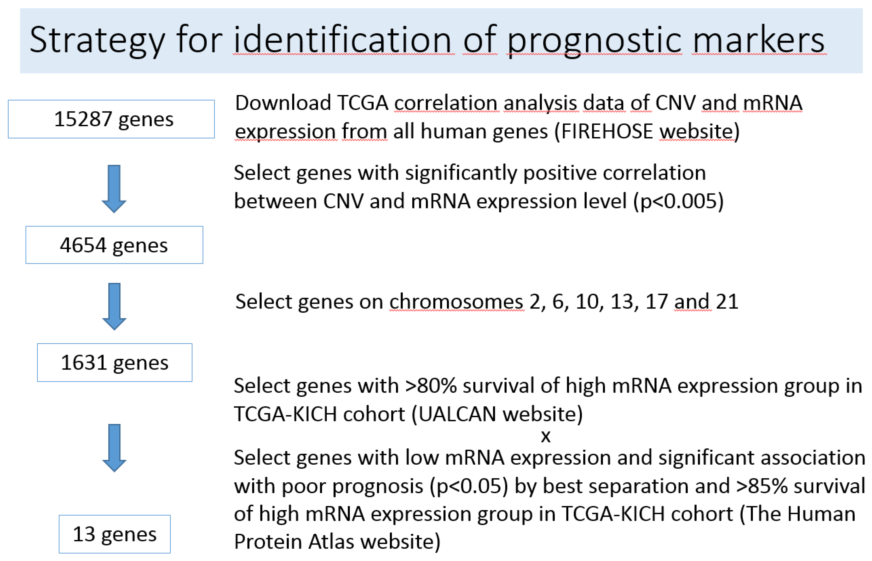 Cancers 12 00465 g002 Cancers 12 00465 g002