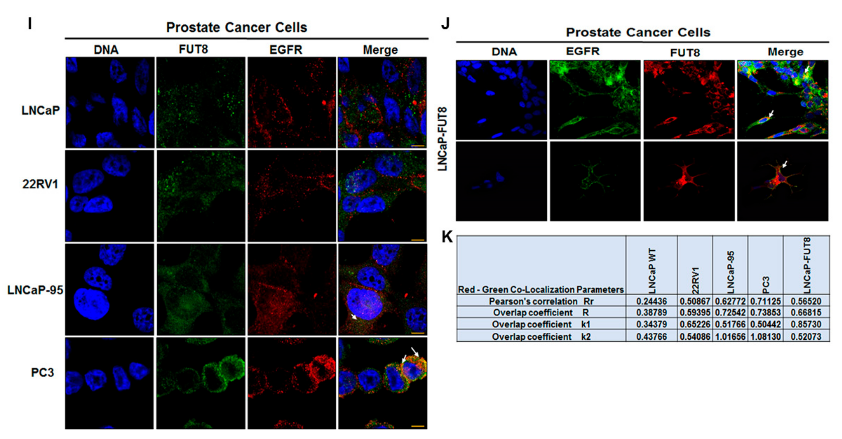 Cancers 12 00468 g002b