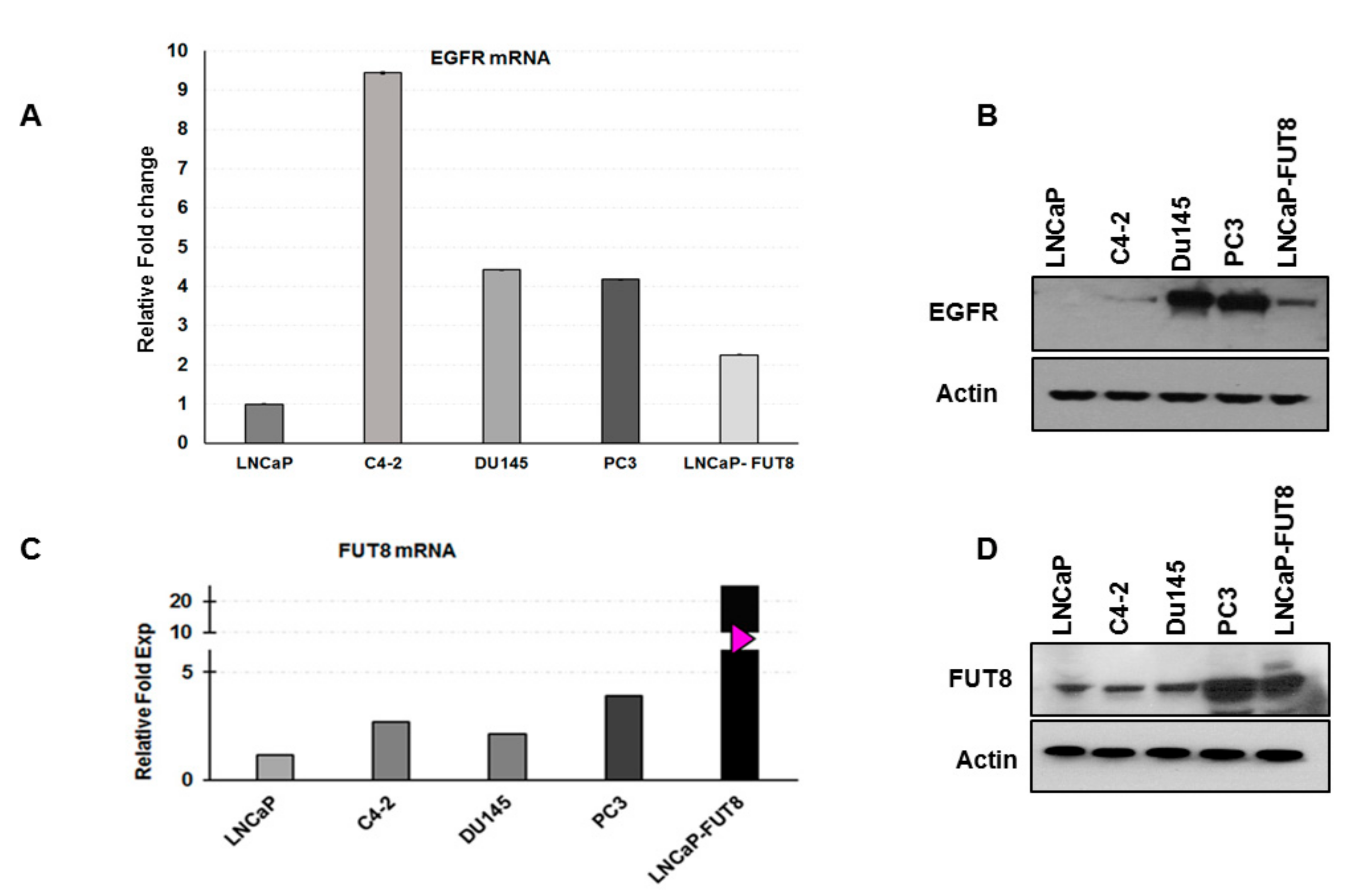 Cancers 12 00468 g005