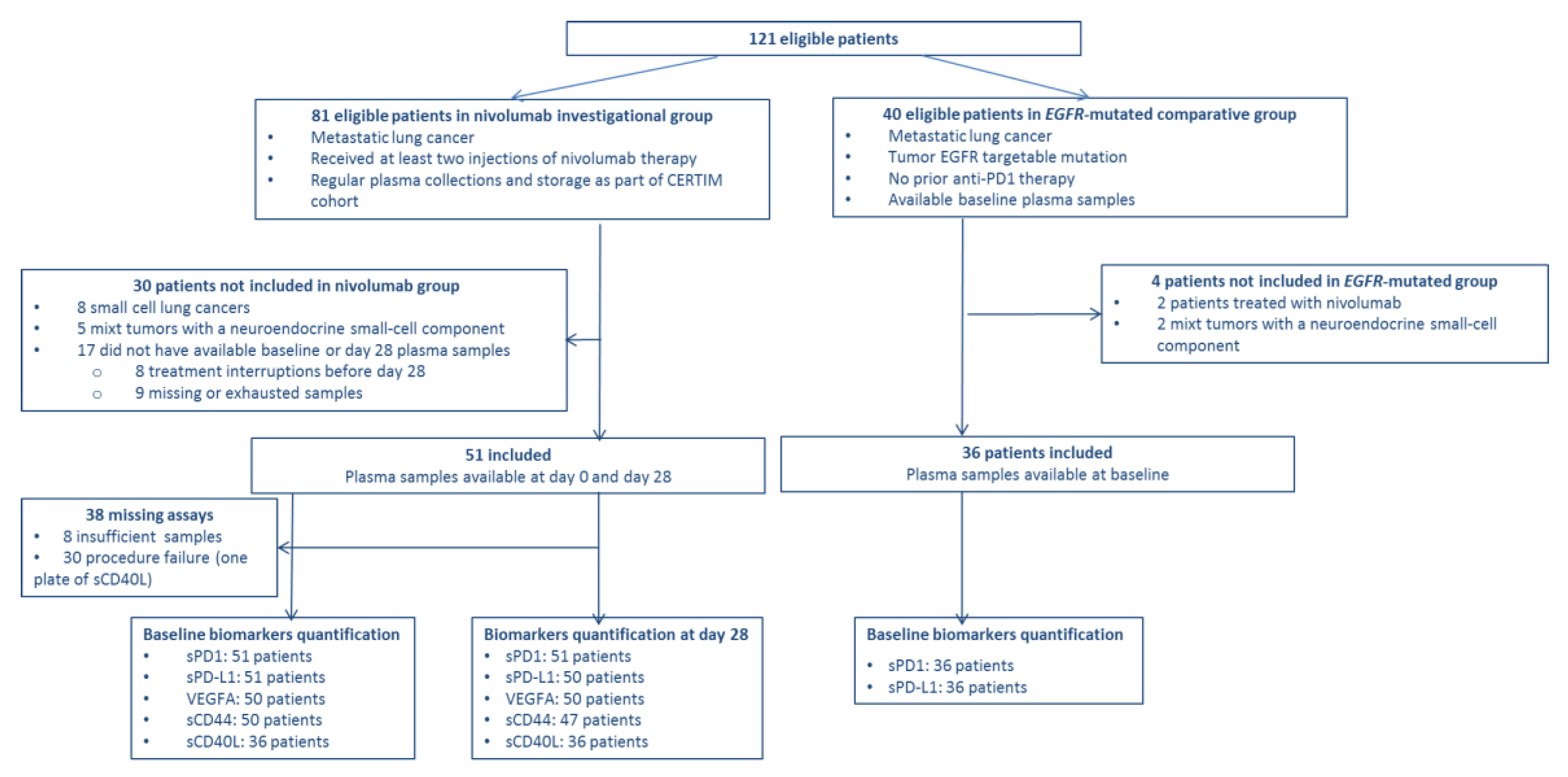 Cancers 12 00473 g001 Cancers 12 00473 g001