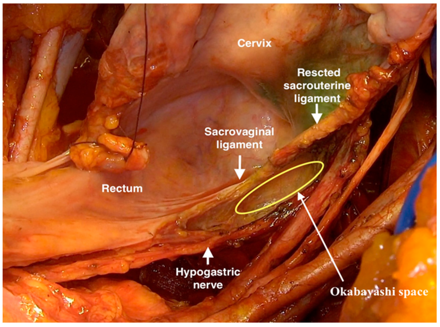 Cancers 12 00483 g003