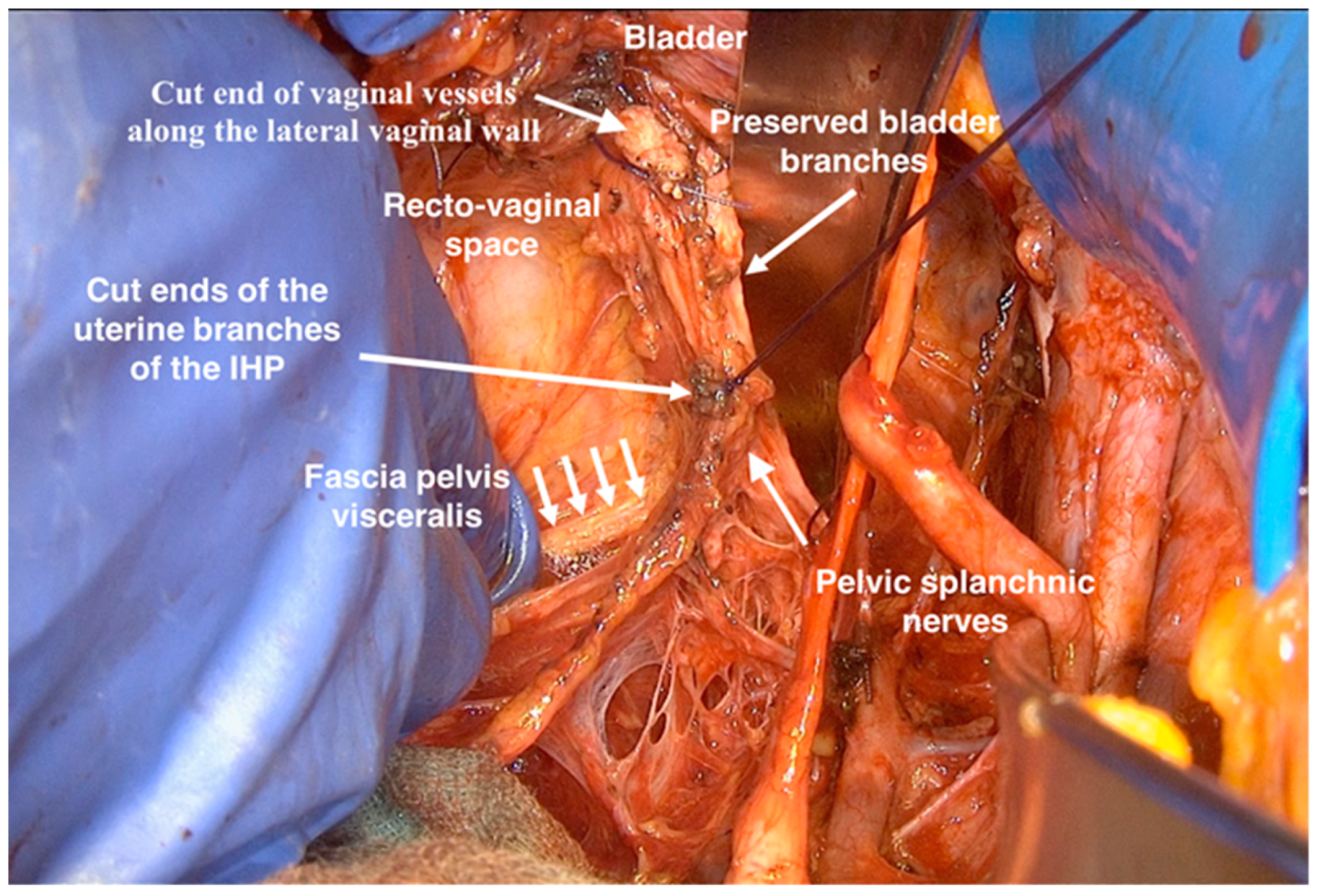 Cancers 12 00483 g010