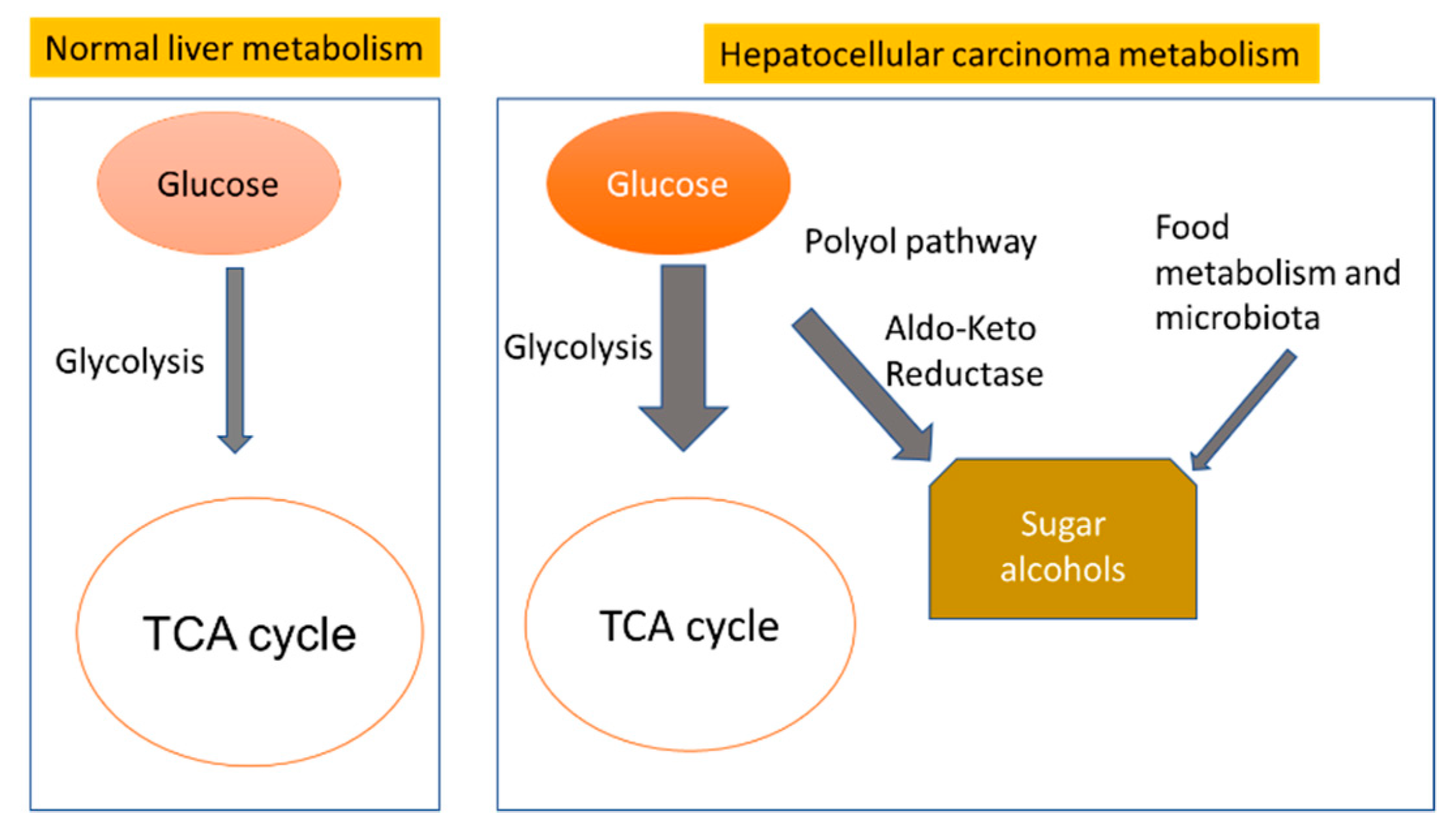 Cancers 12 00484 g008 Cancers 12 00484 g008
