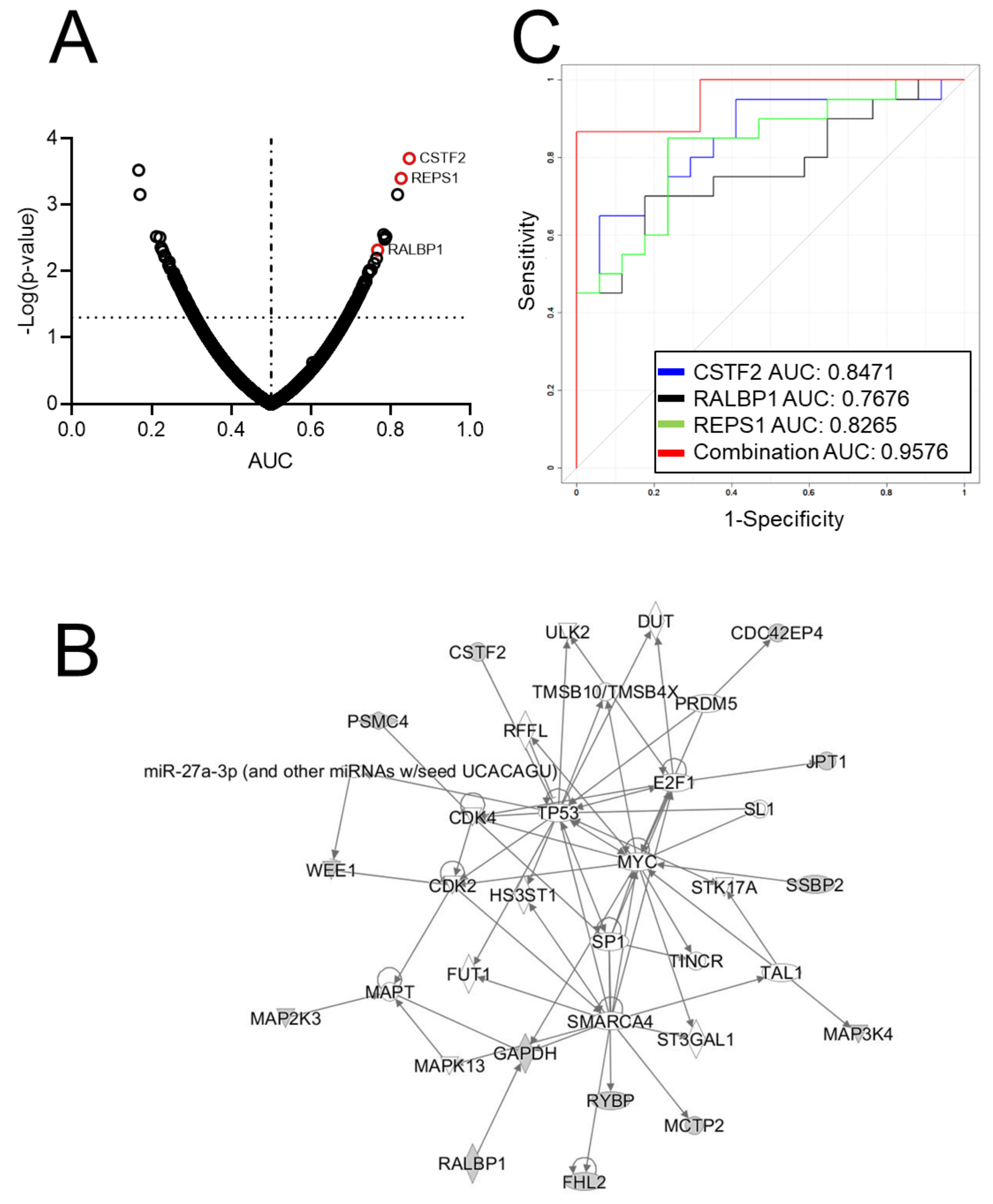 Cancers 12 00485 g001