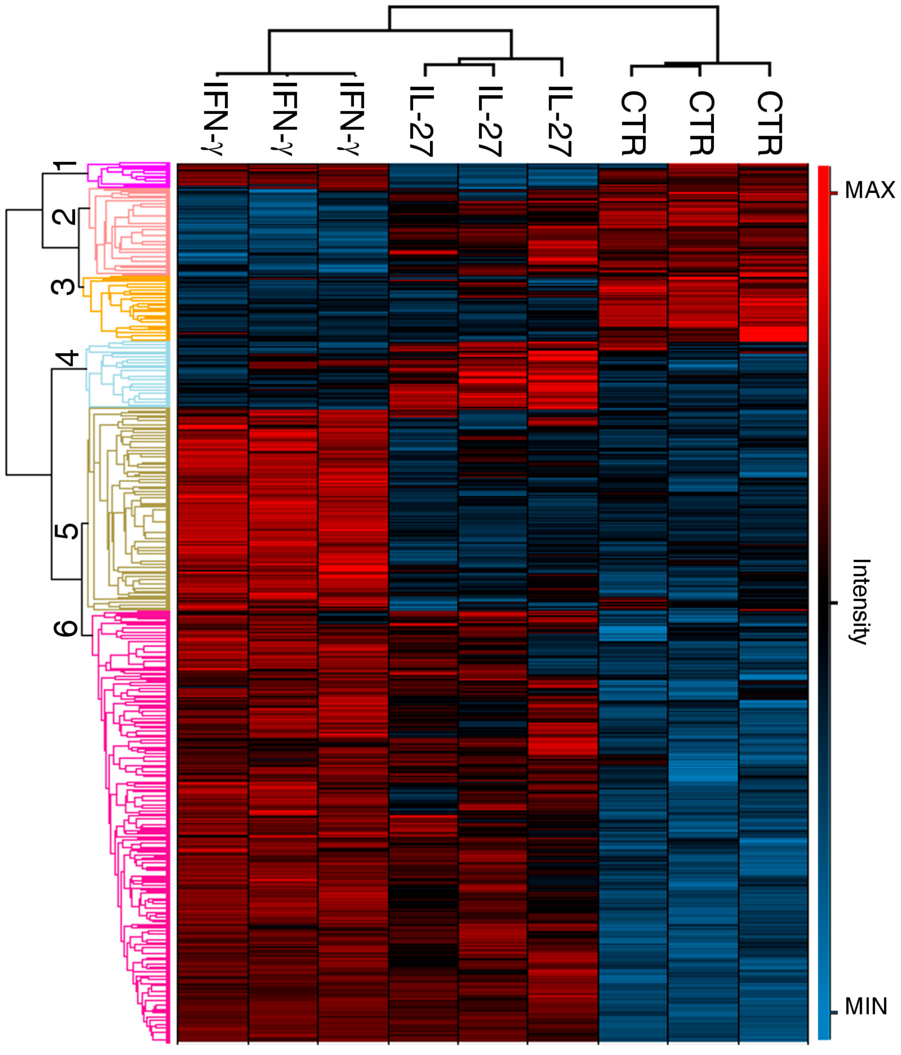 Cancers 12 00488 g001 Cancers 12 00488 g001
