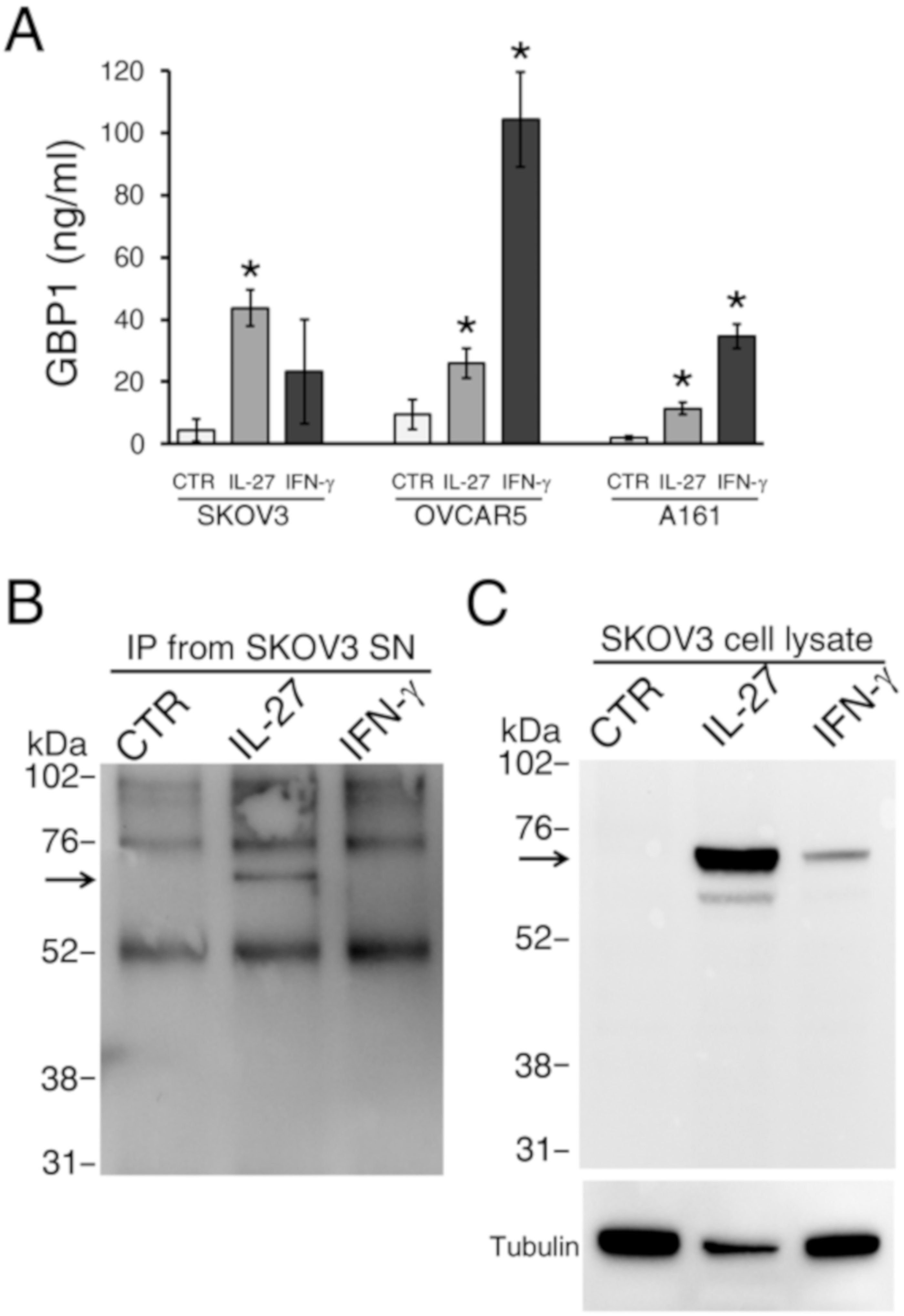 Cancers 12 00488 g003 Cancers 12 00488 g003