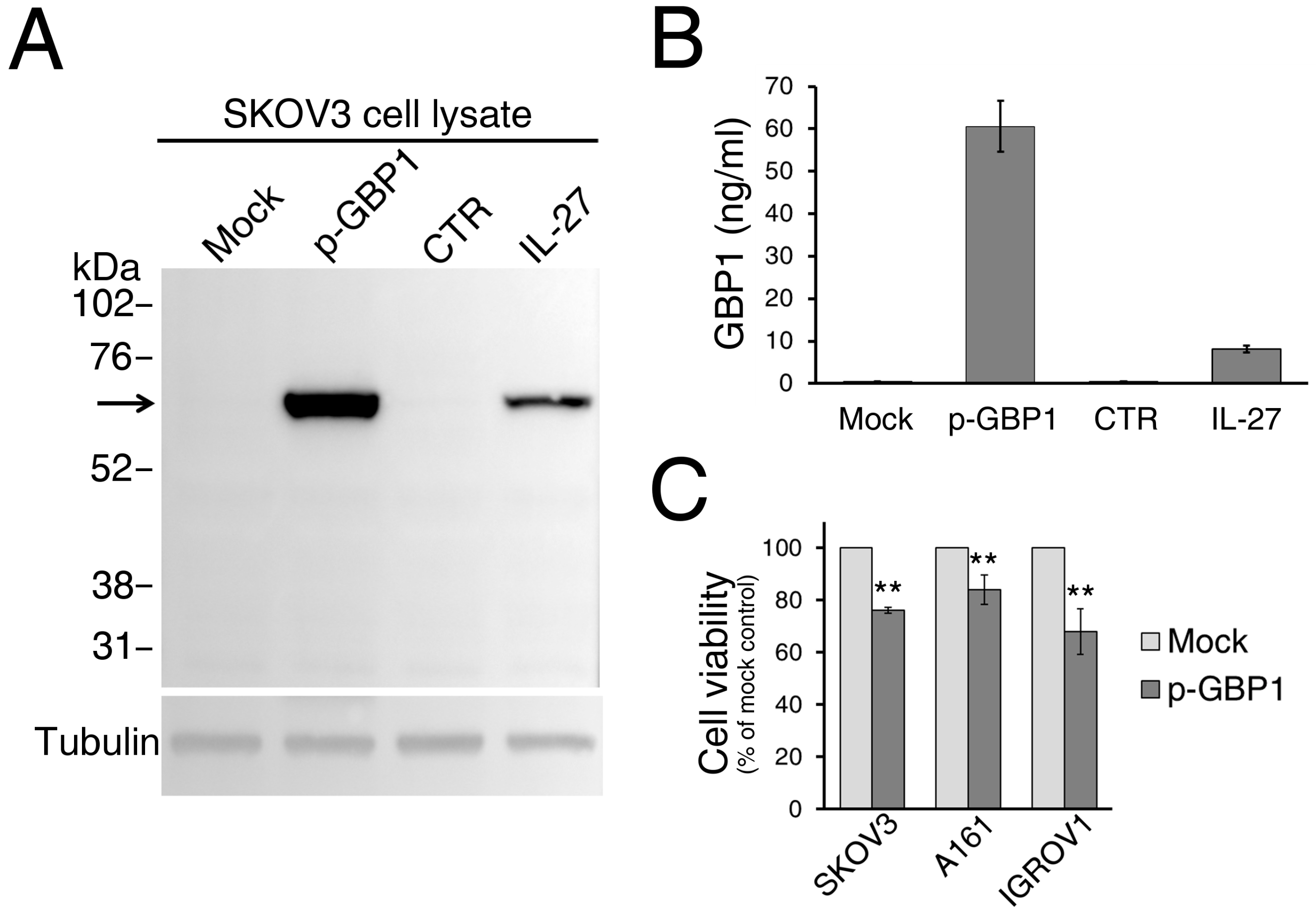 Cancers 12 00488 g007 Cancers 12 00488 g007