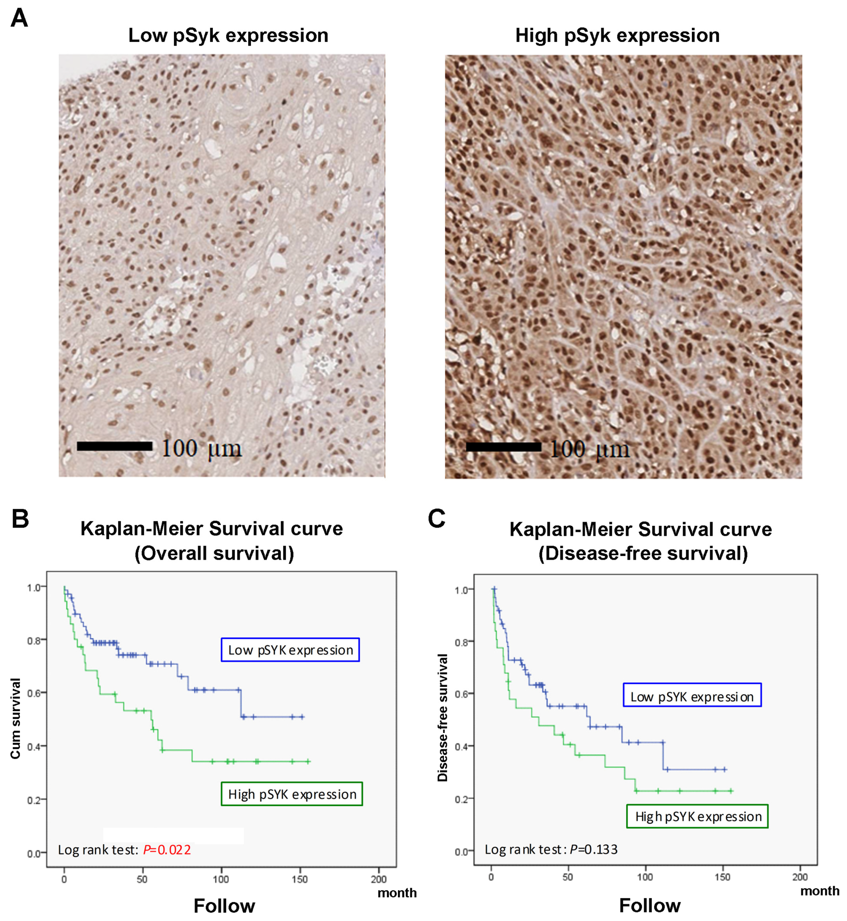 Cancers 12 00489 g006 Cancers 12 00489 g006