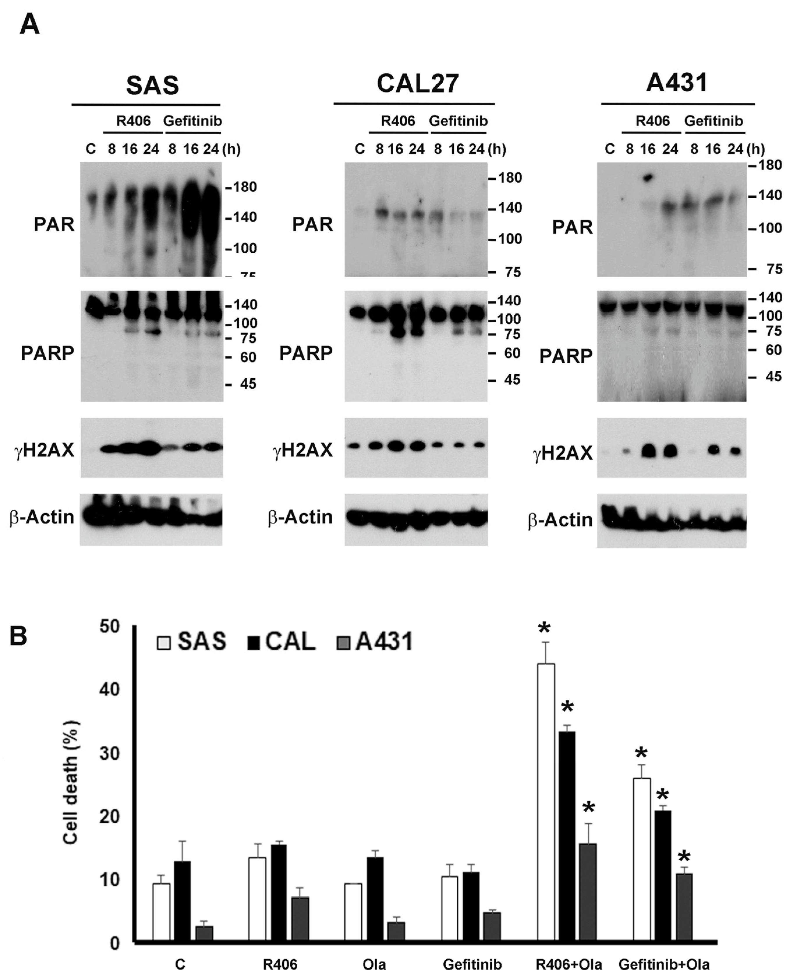 Cancers 12 00489 g007 Cancers 12 00489 g007