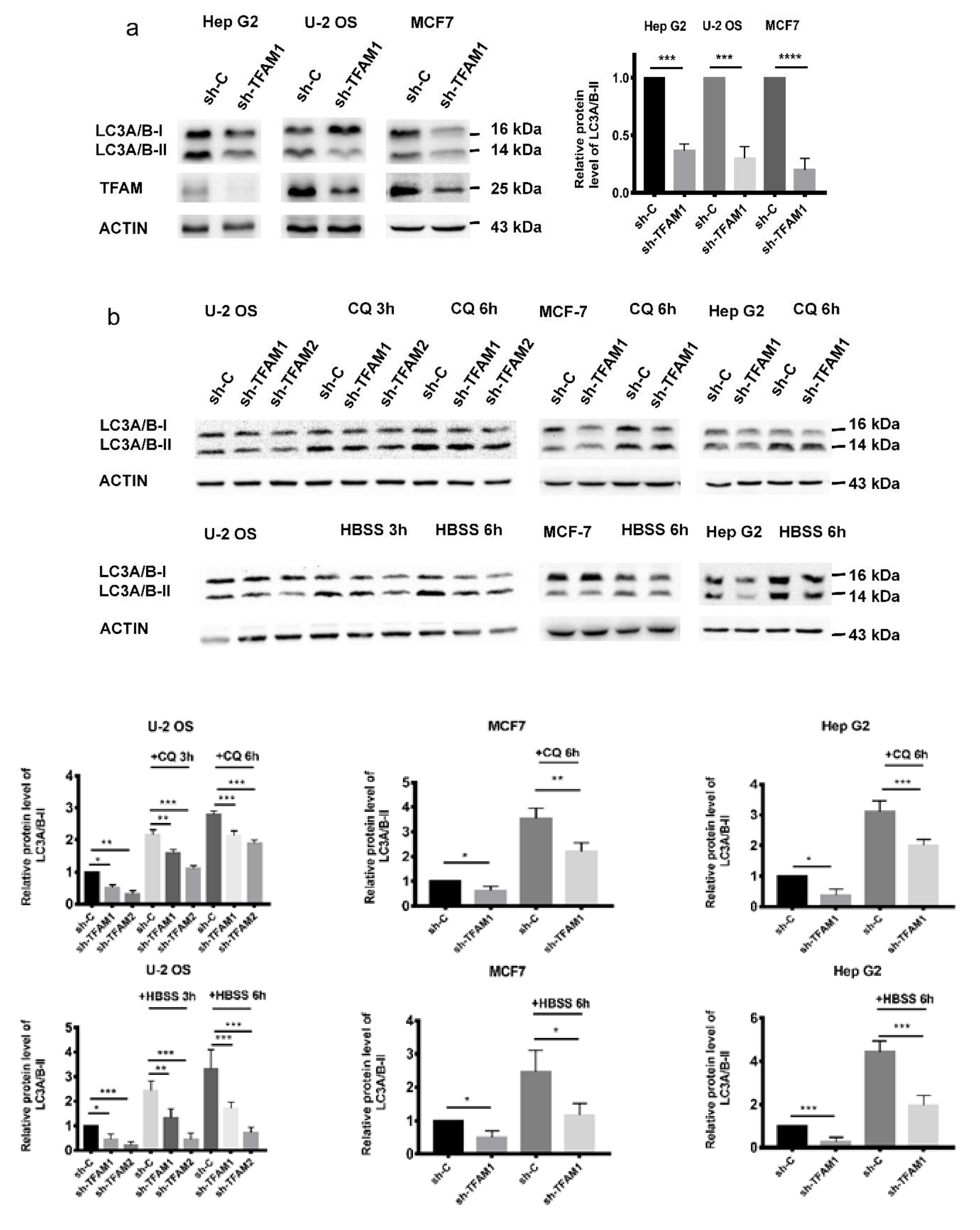 Cancers 12 00493 g001a Cancers 12 00493 g001a