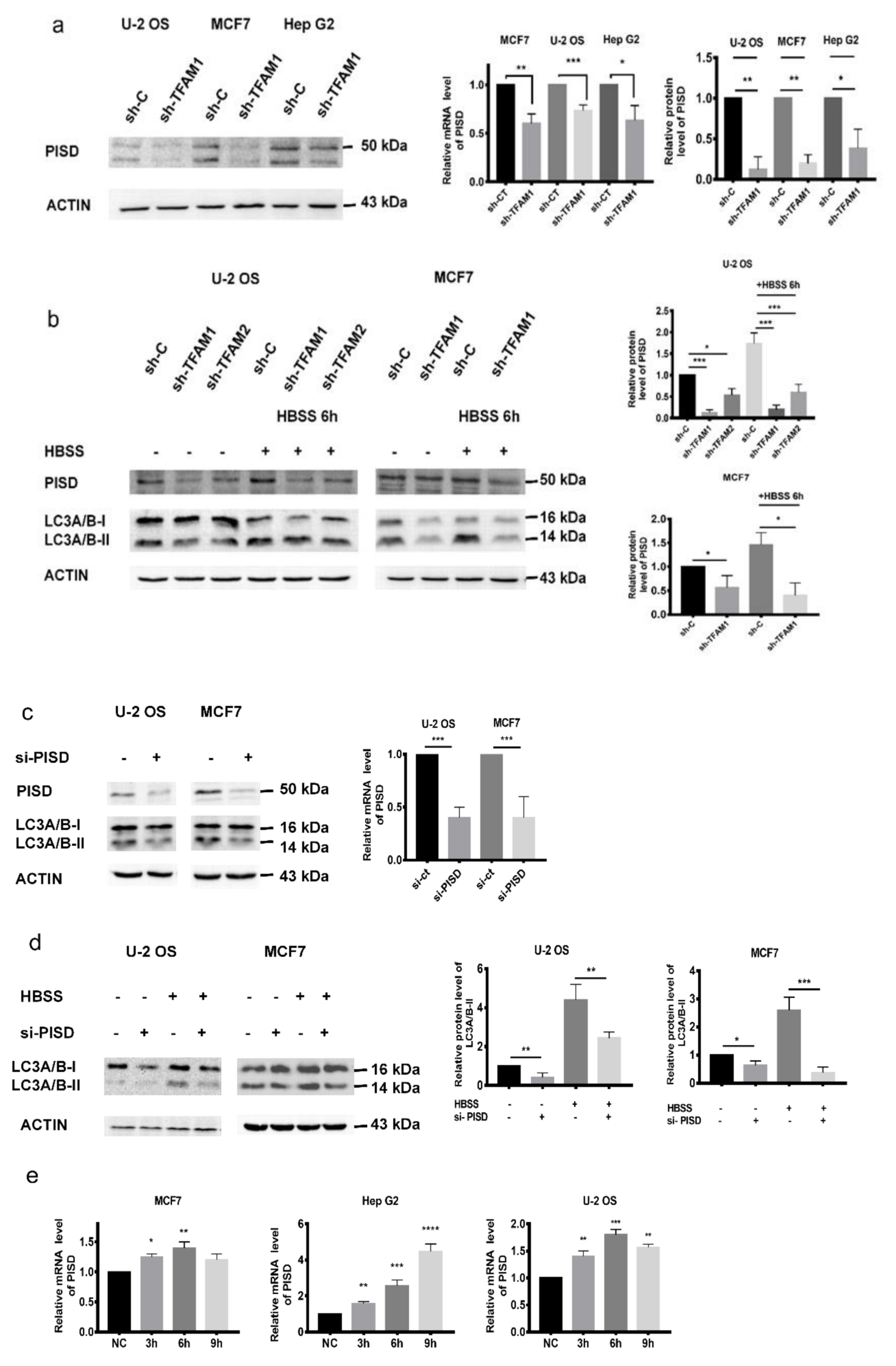 Cancers 12 00493 g002a Cancers 12 00493 g002a