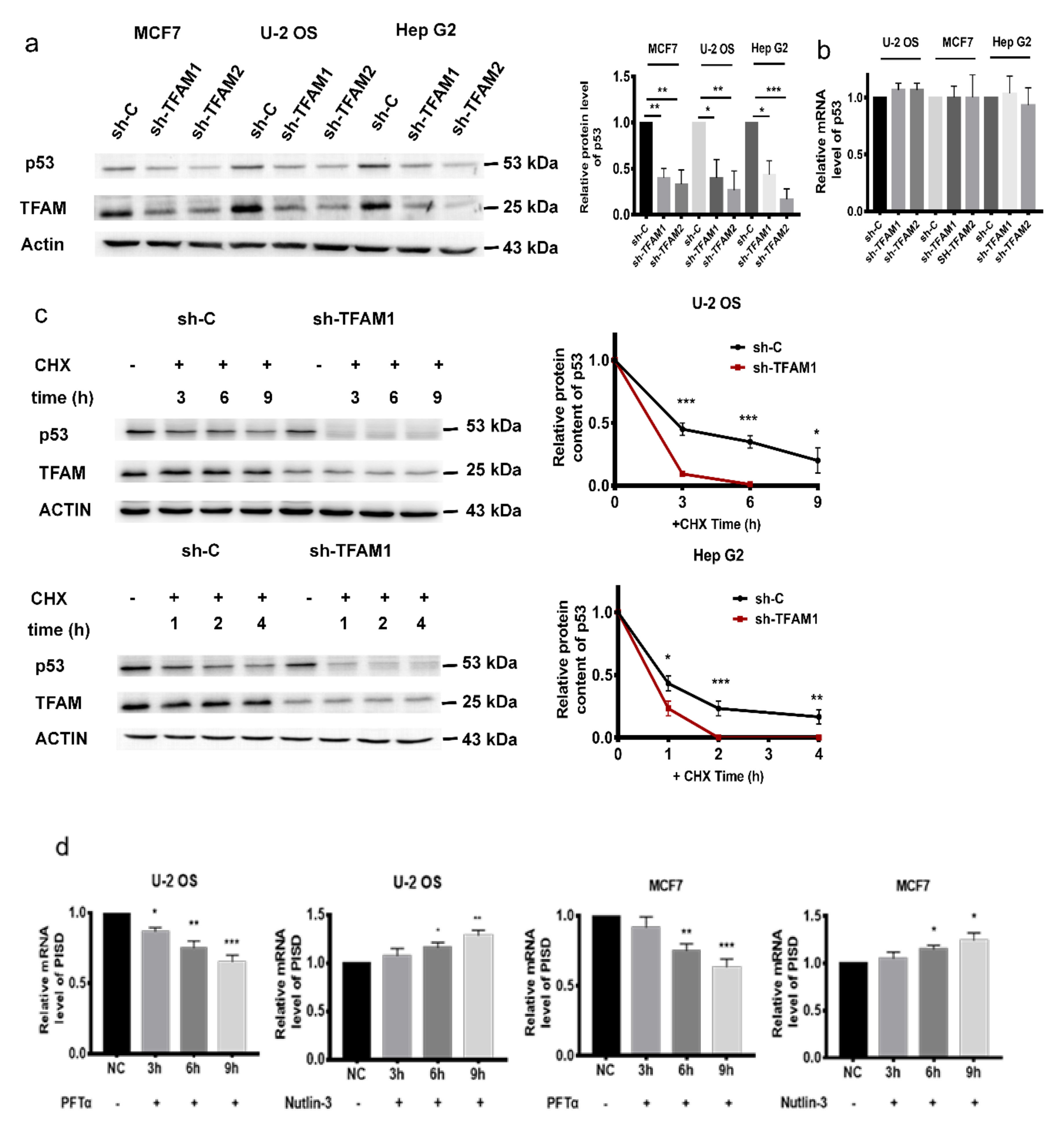 Cancers 12 00493 g003a Cancers 12 00493 g003a