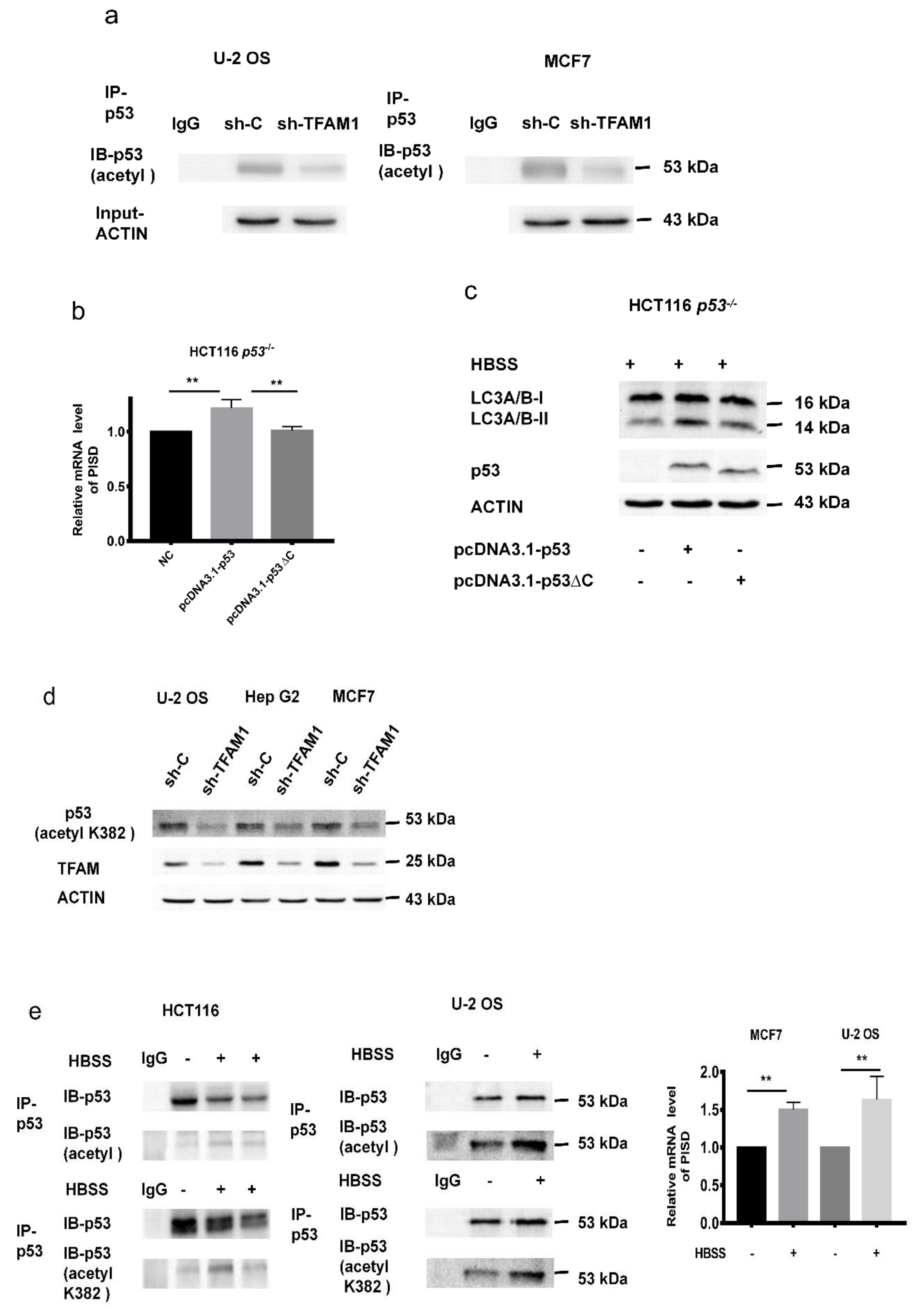 Cancers 12 00493 g005 Cancers 12 00493 g005