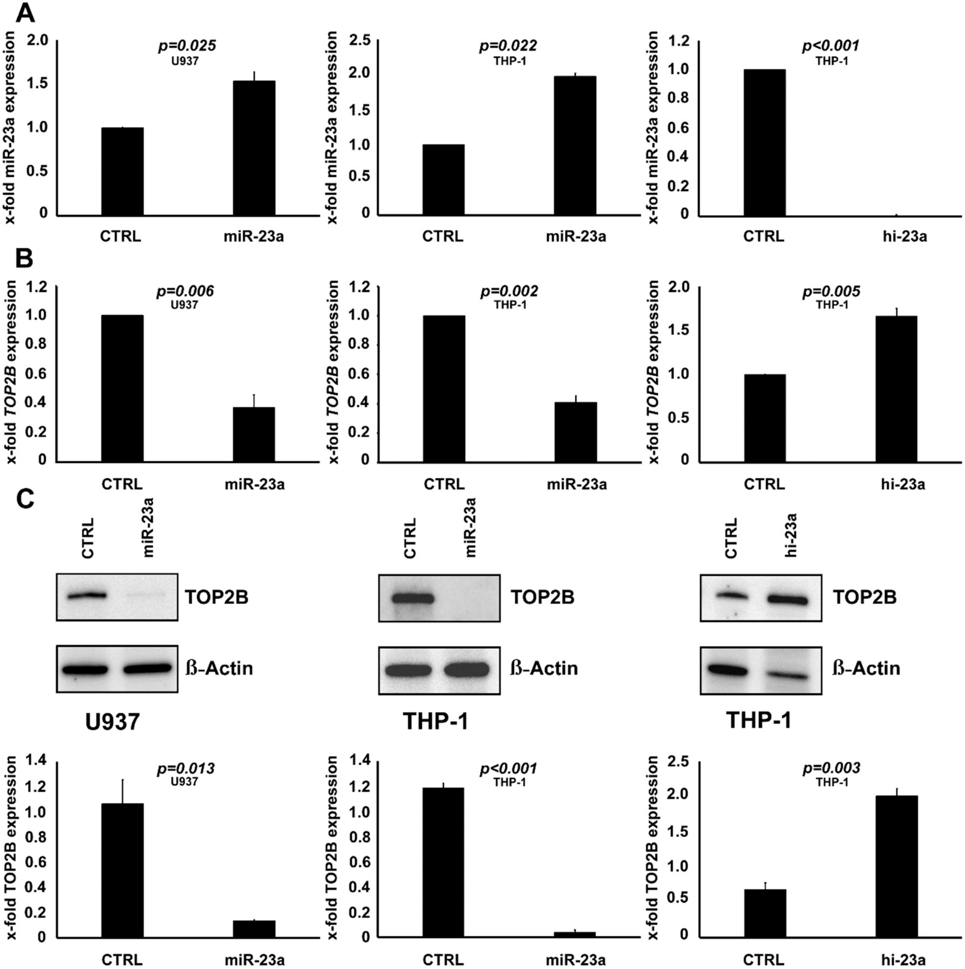 Cancers 12 00496 g004 Cancers 12 00496 g004