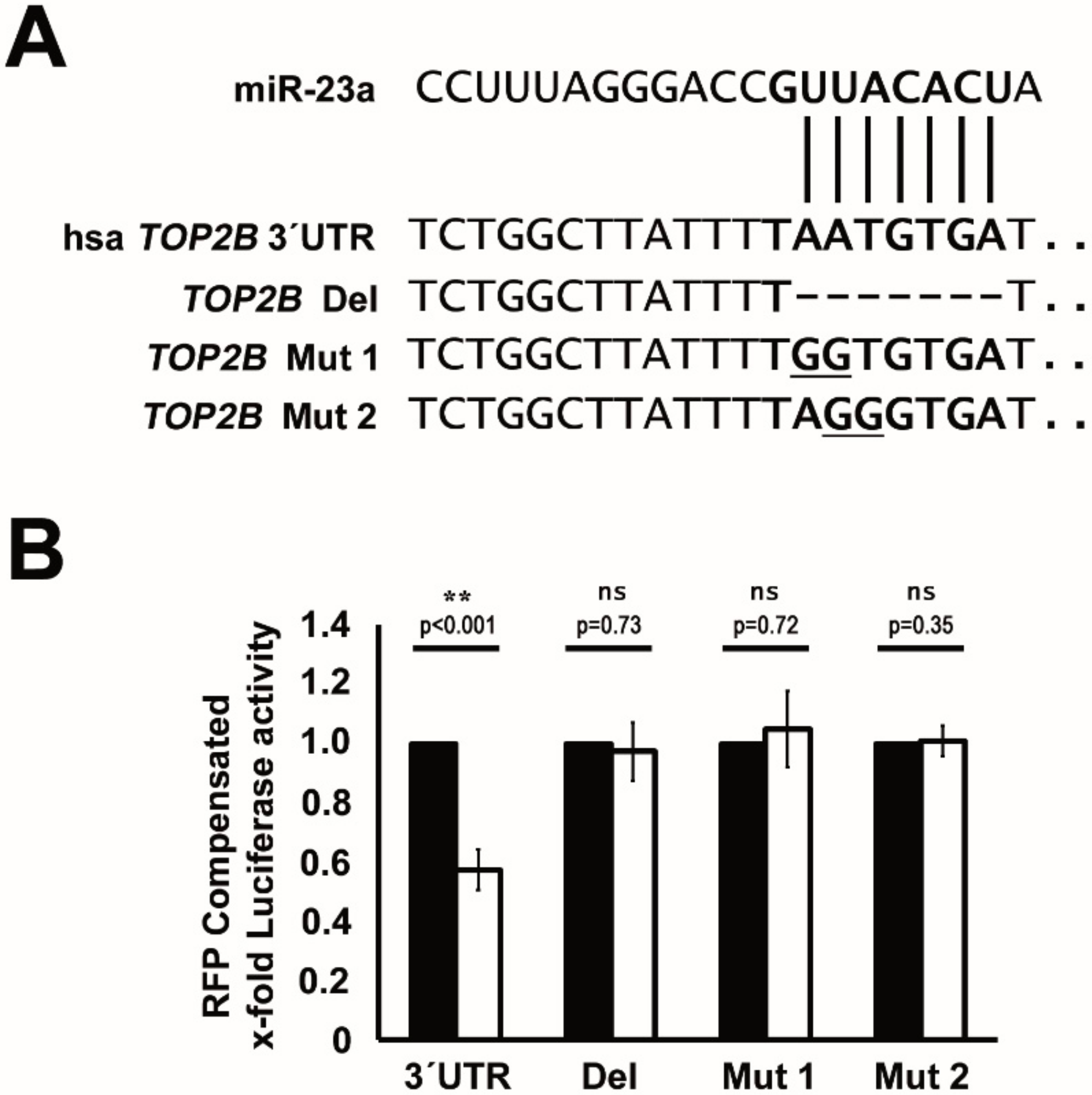 Cancers 12 00496 g006 Cancers 12 00496 g006