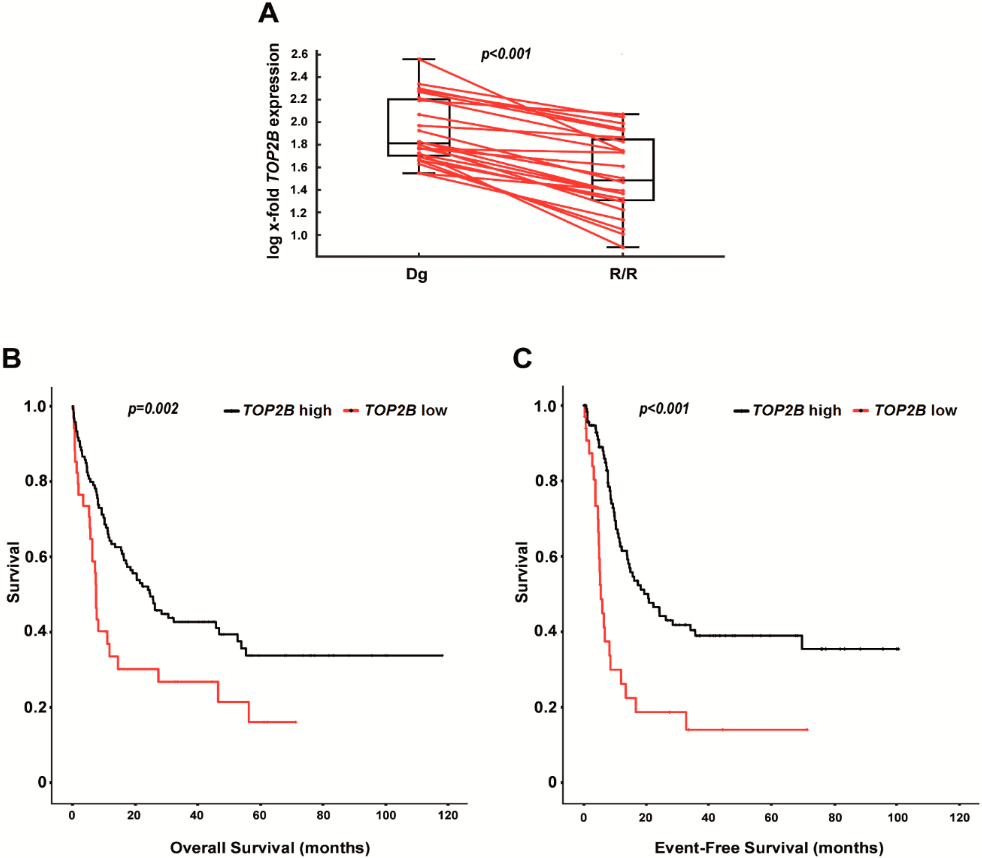 Cancers 12 00496 g007 Cancers 12 00496 g007