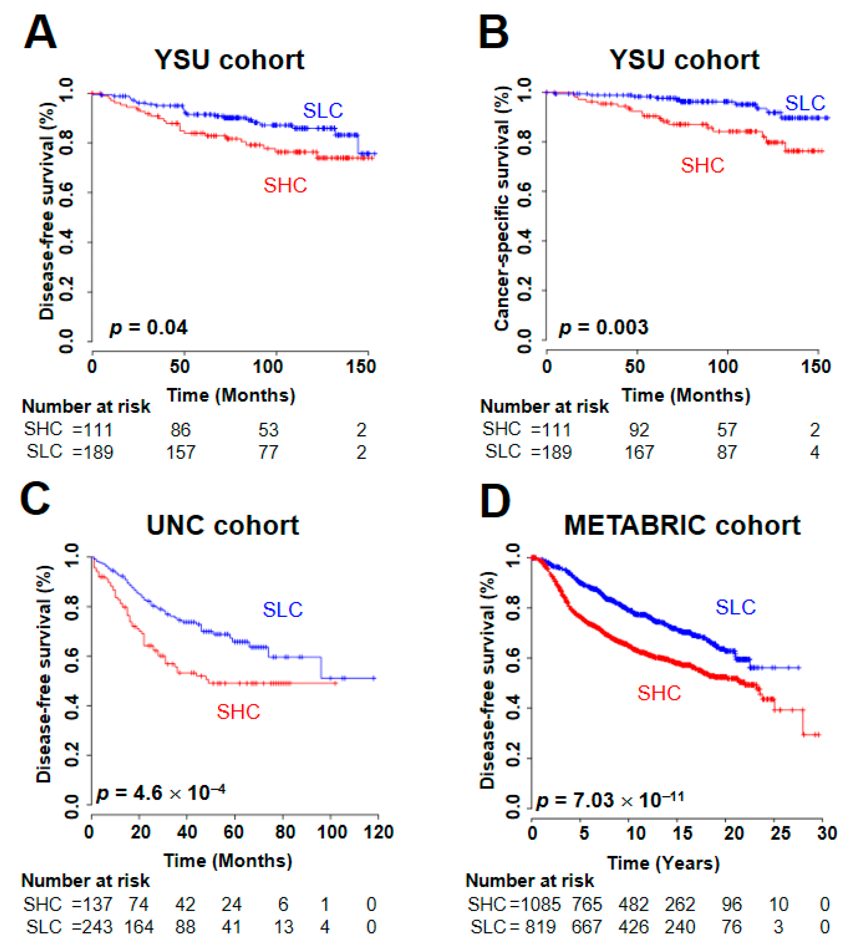 Cancers 12 00497 g002 Cancers 12 00497 g002