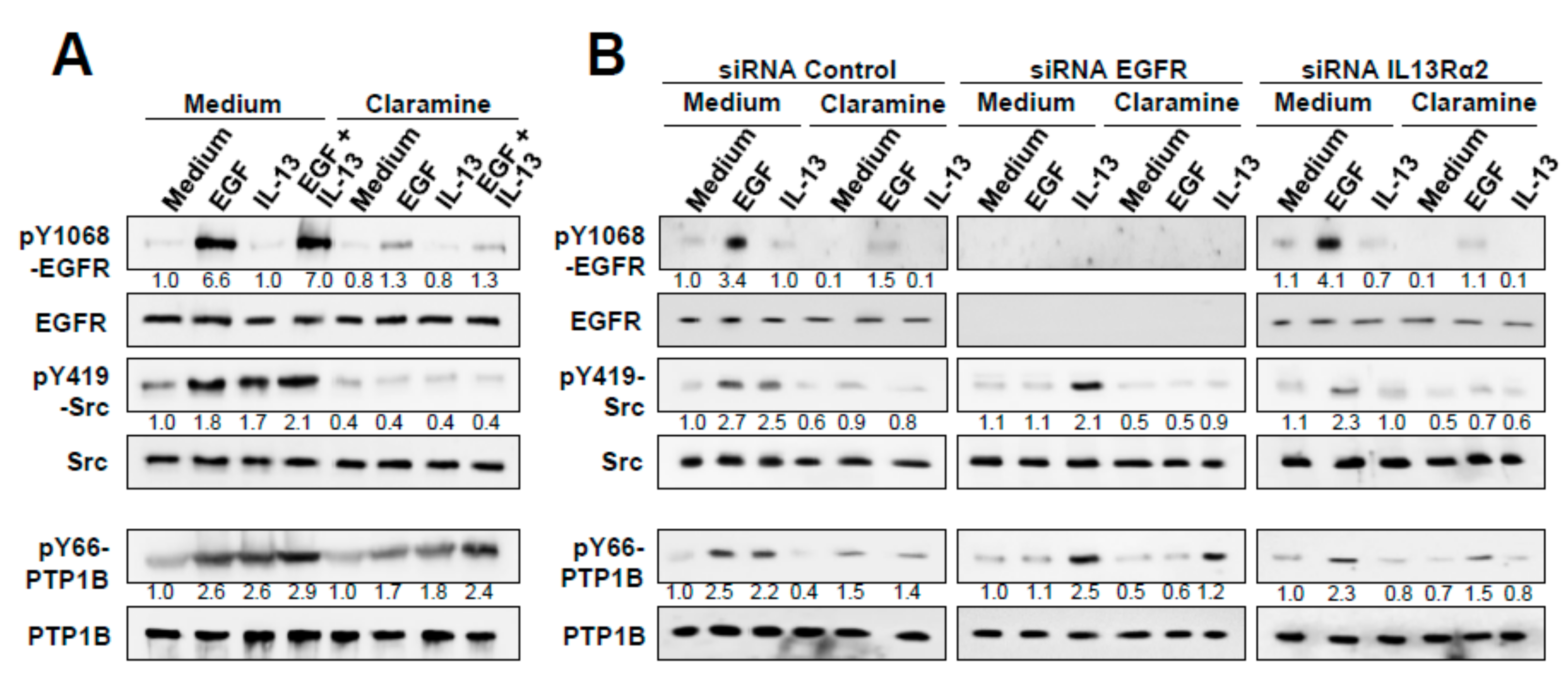 Cancers 12 00500 g006 Cancers 12 00500 g006