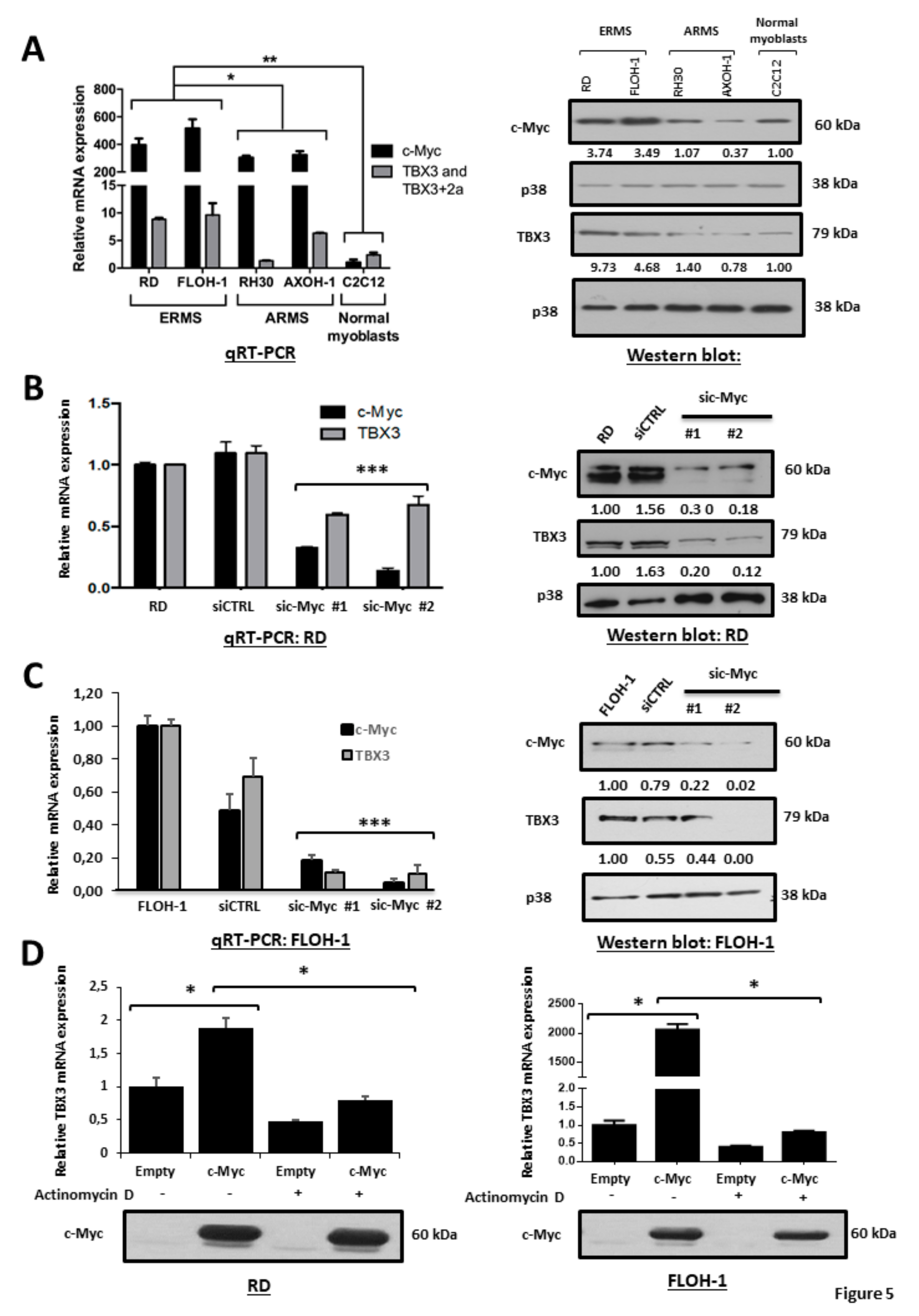 Cancers 12 00501 g005